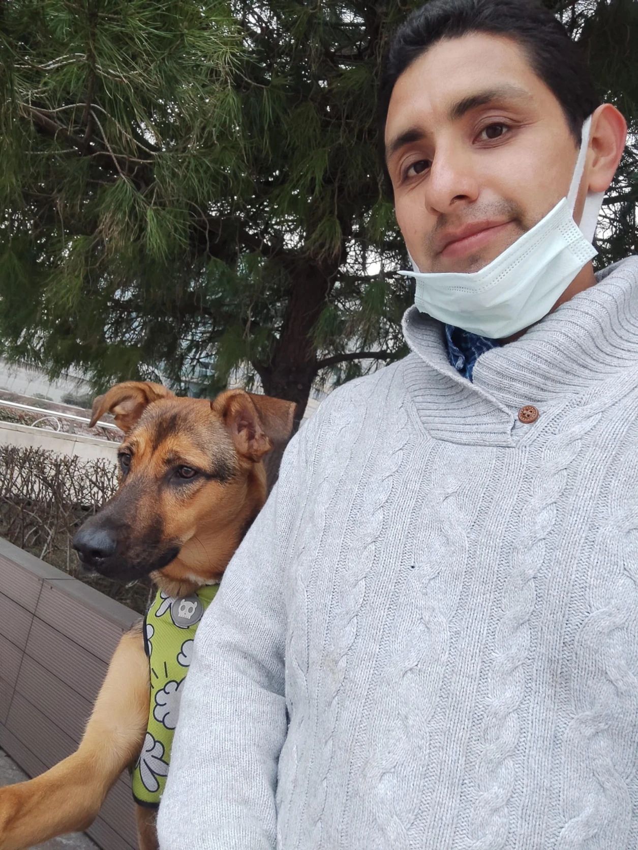 image-11