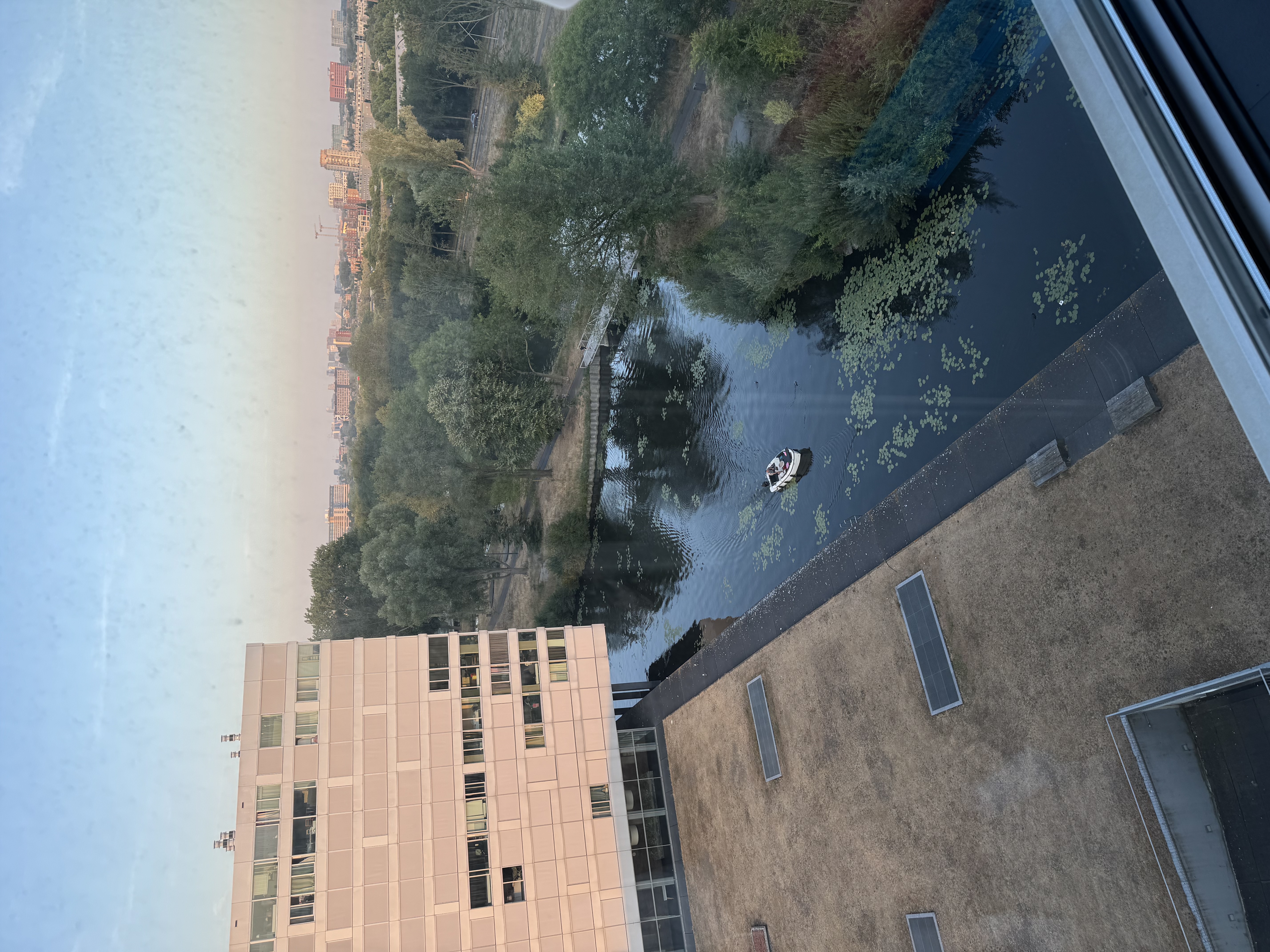image-7
