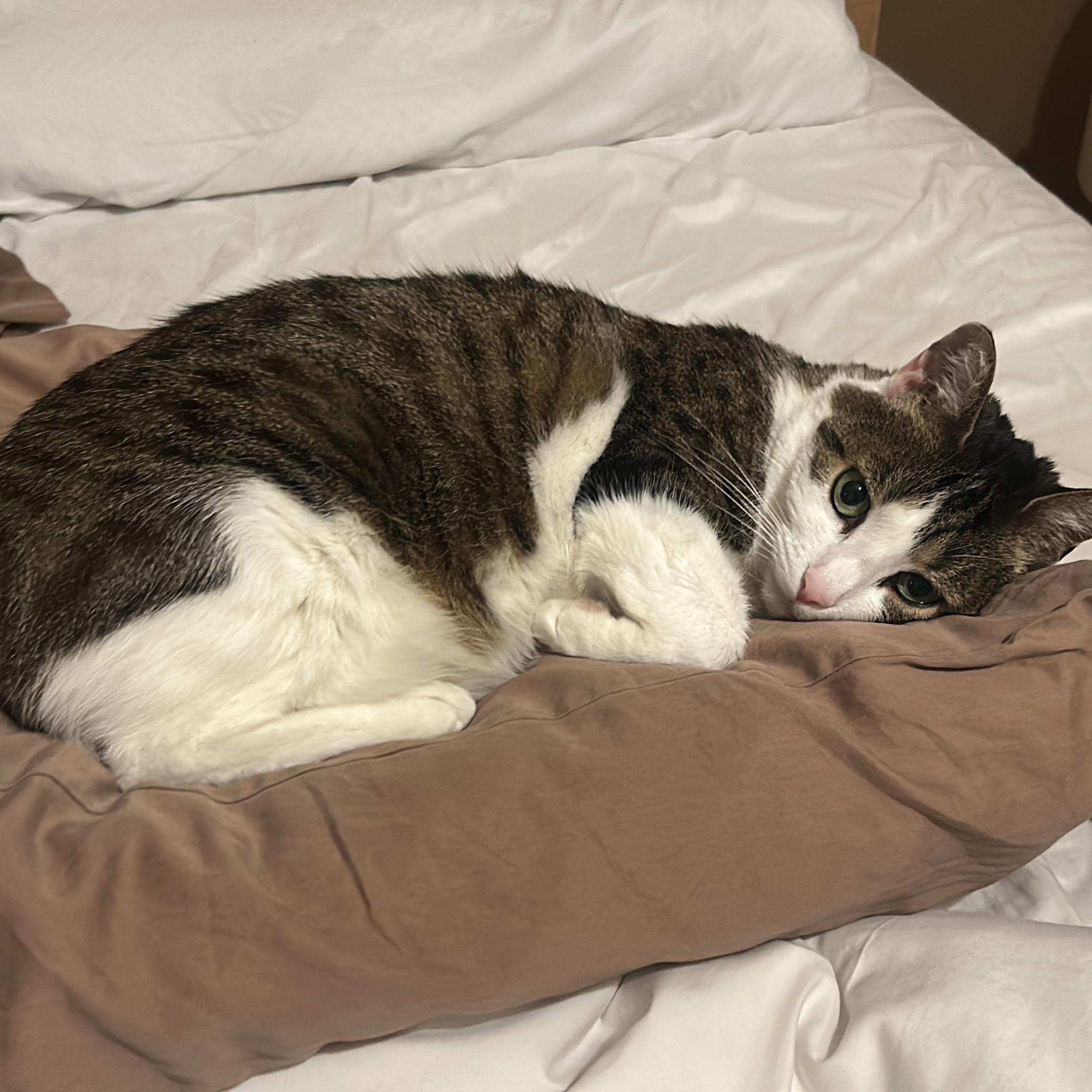 Mia