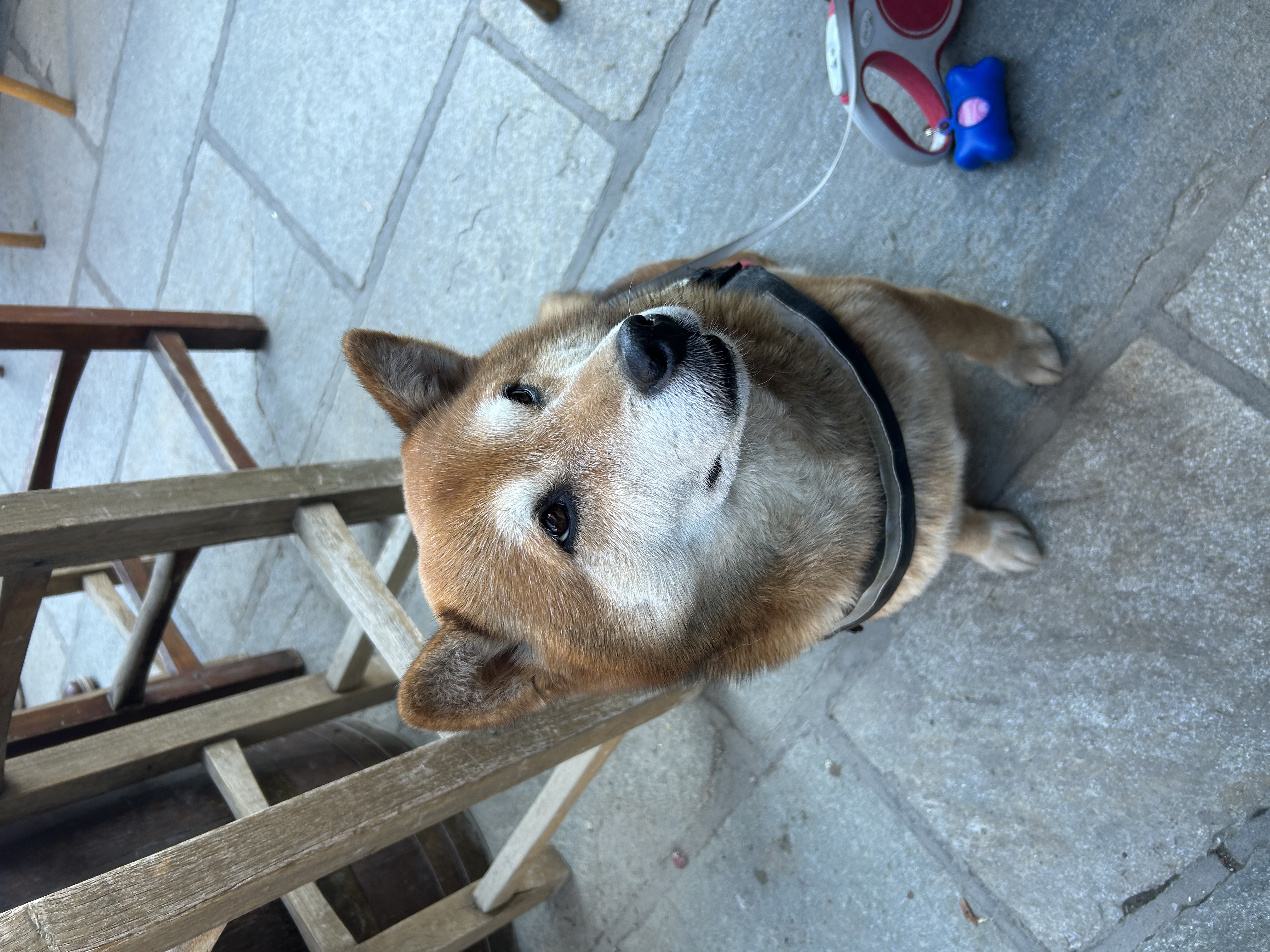 image-8