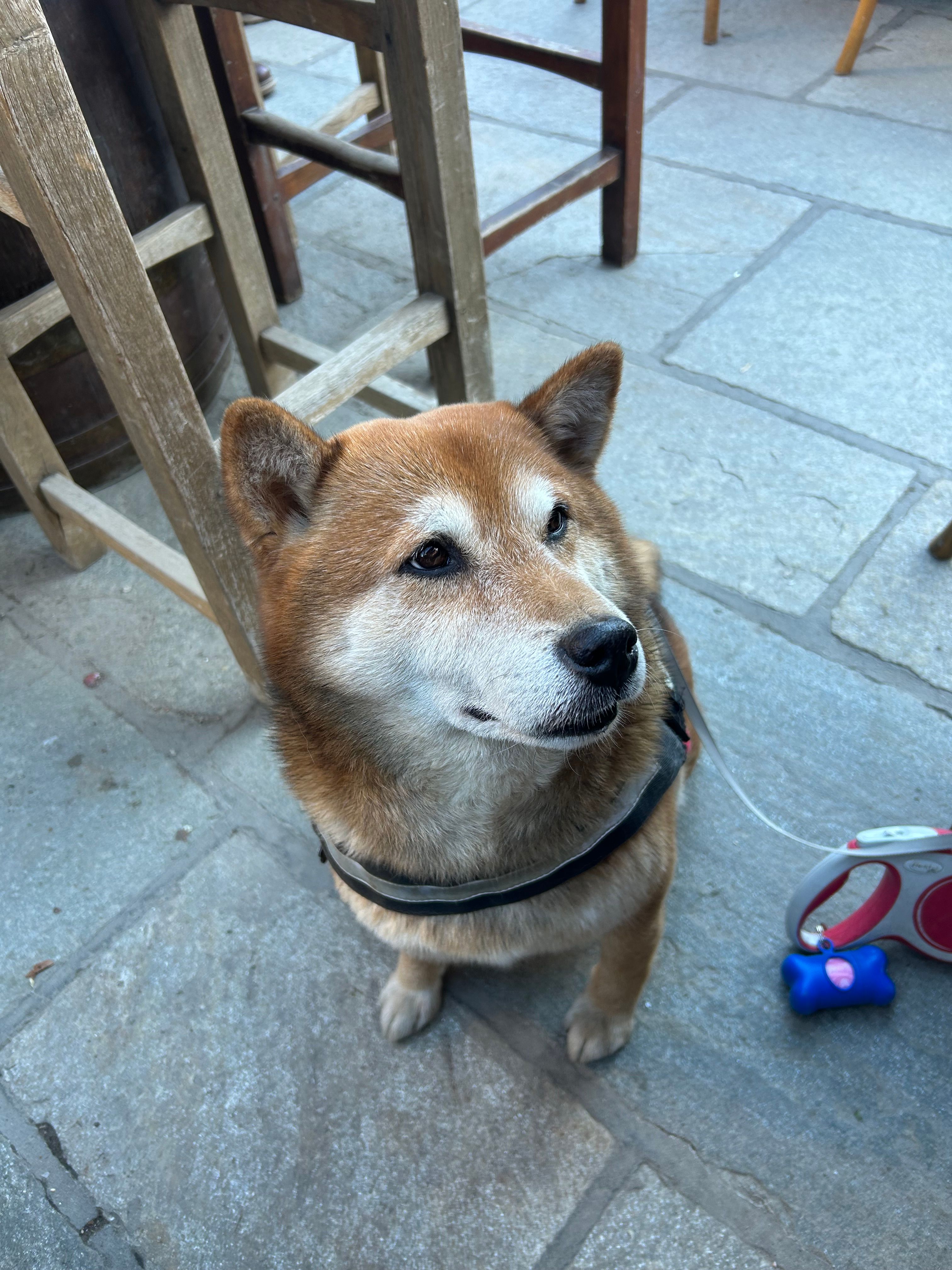 image-8