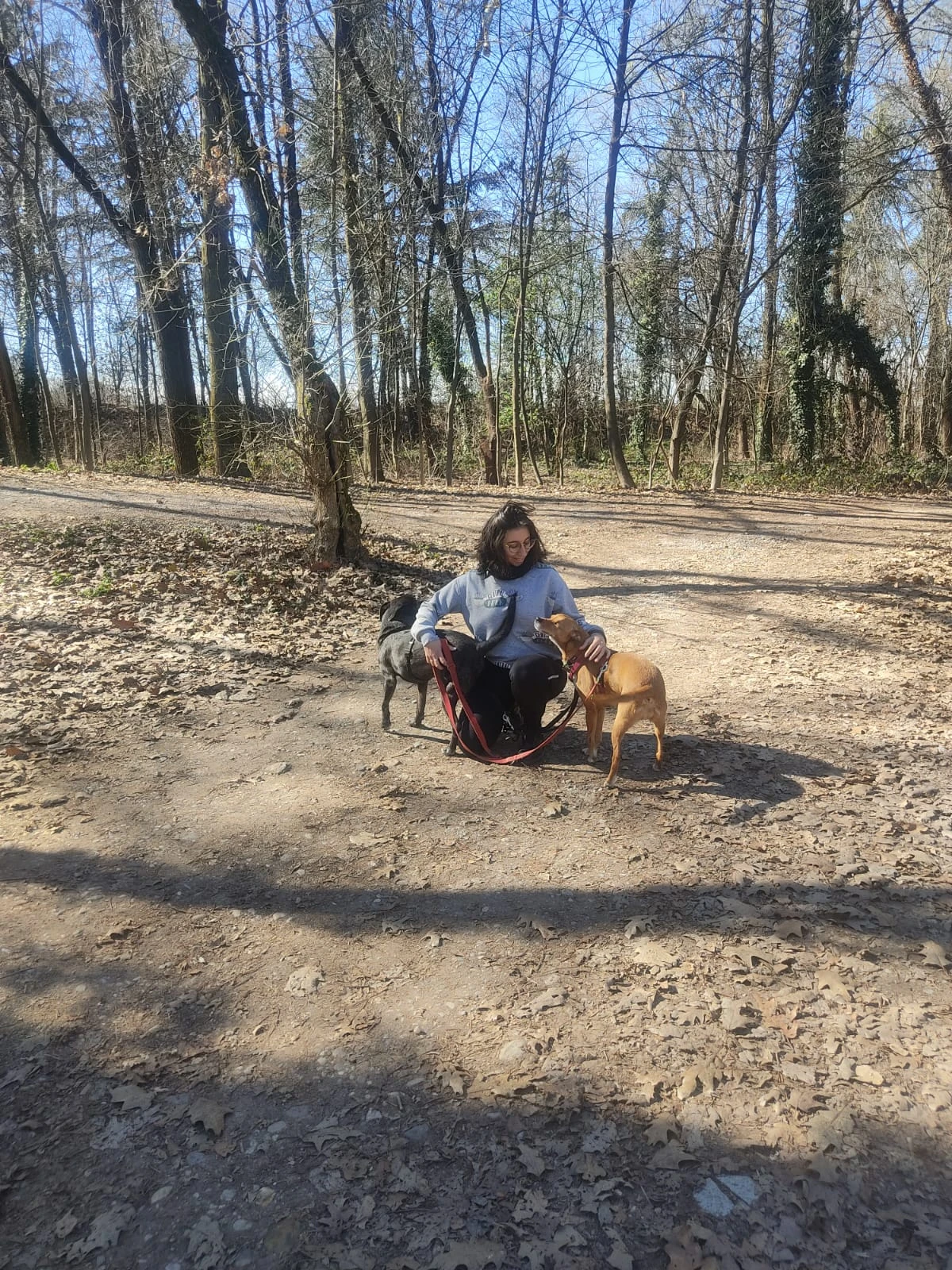 image-4