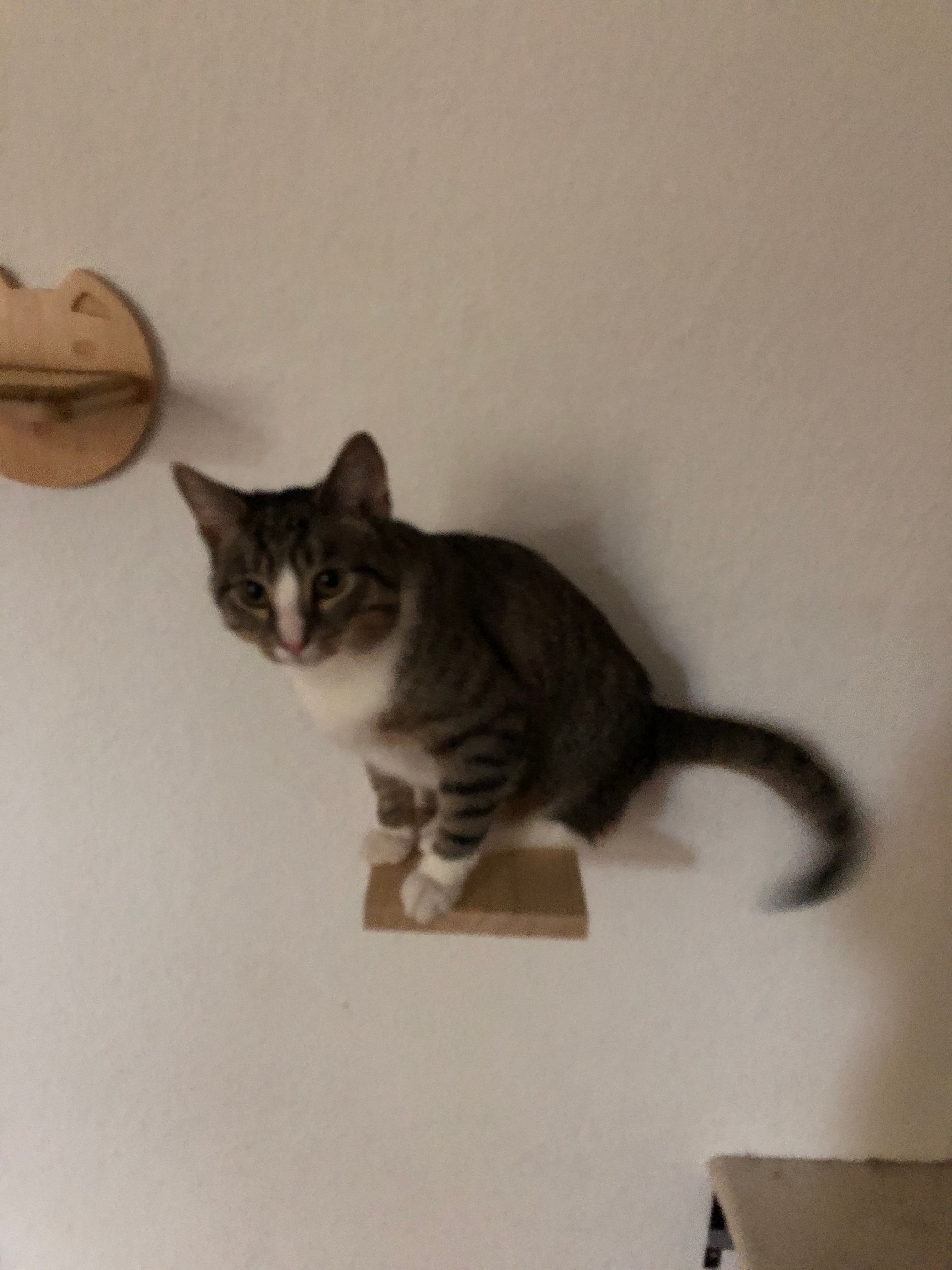 image-5