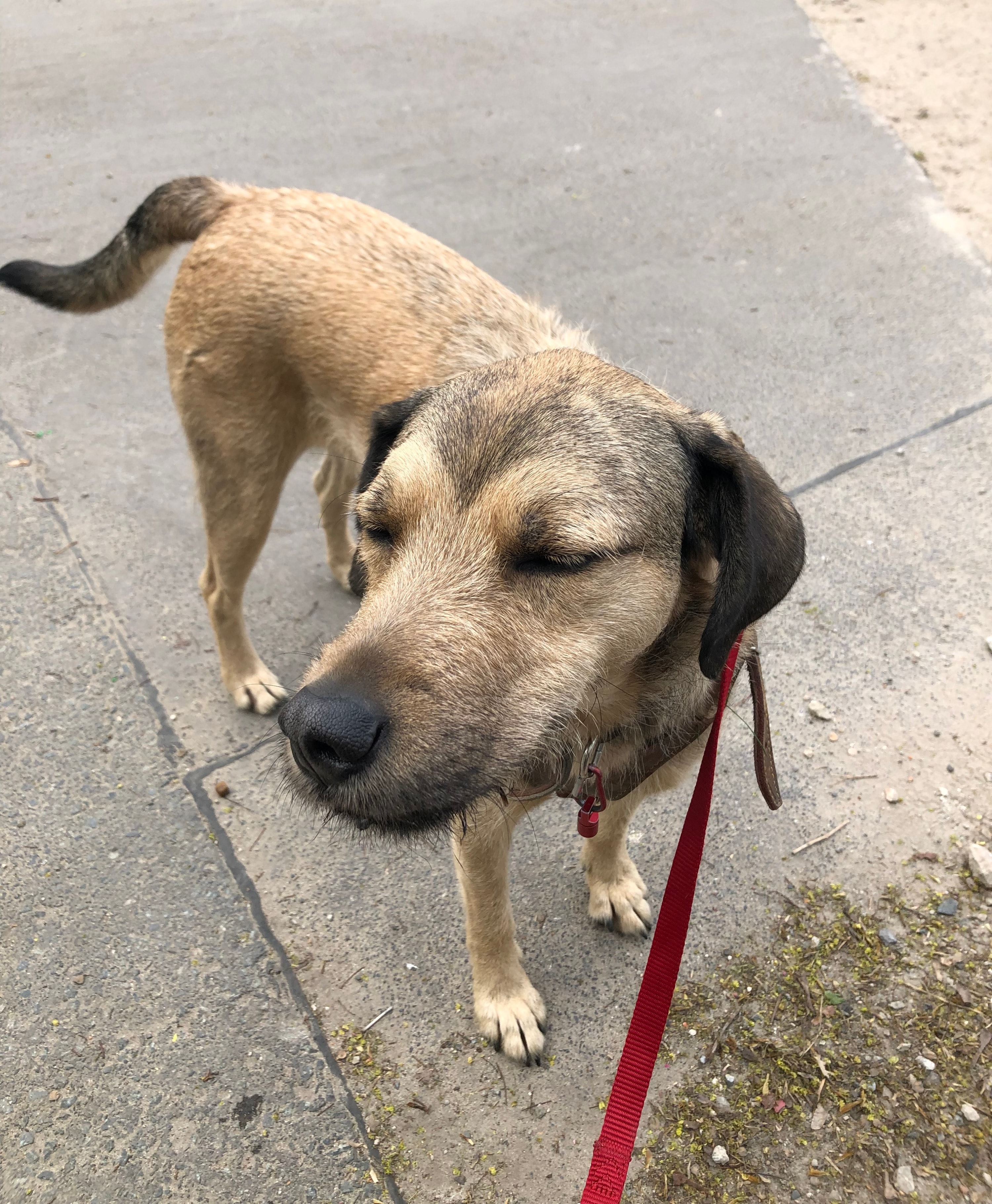 image-3