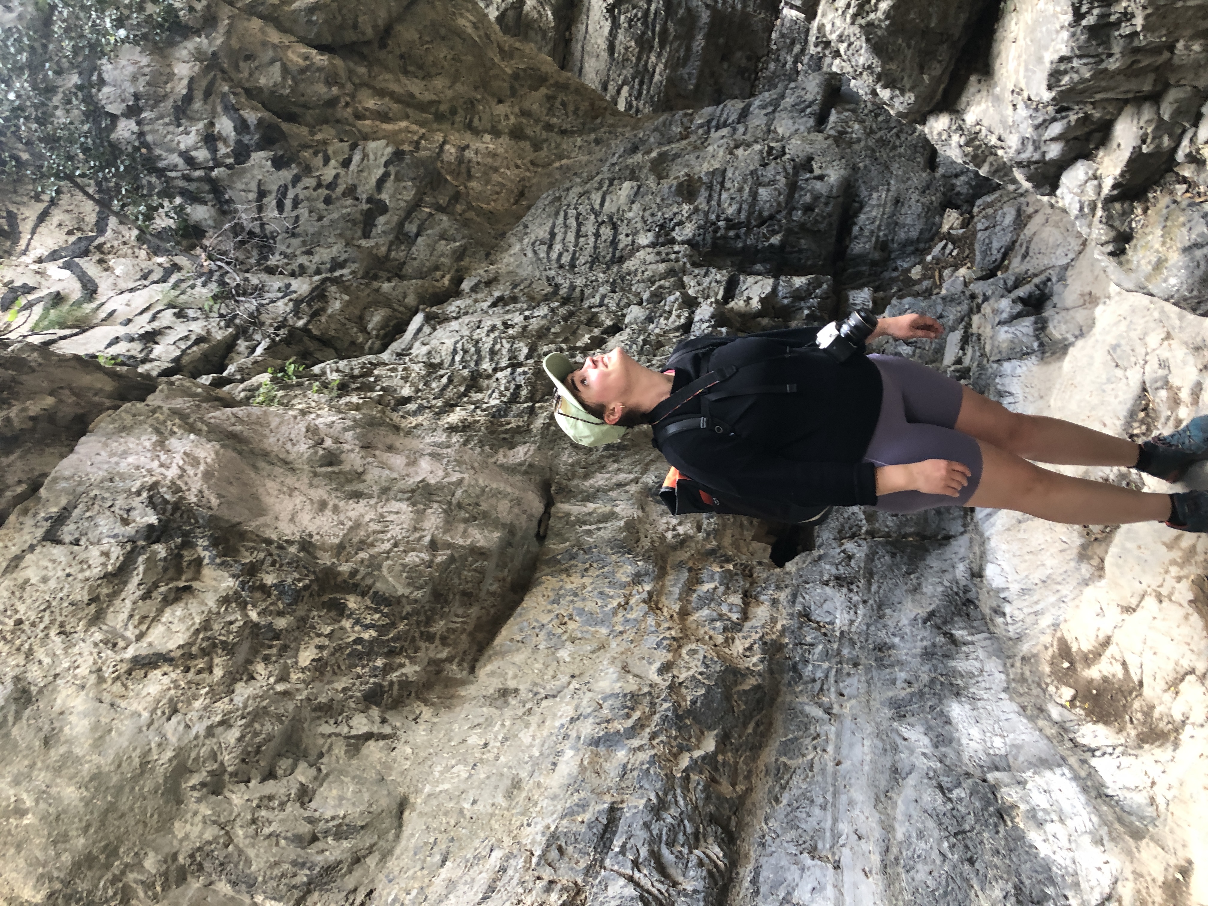 image-9