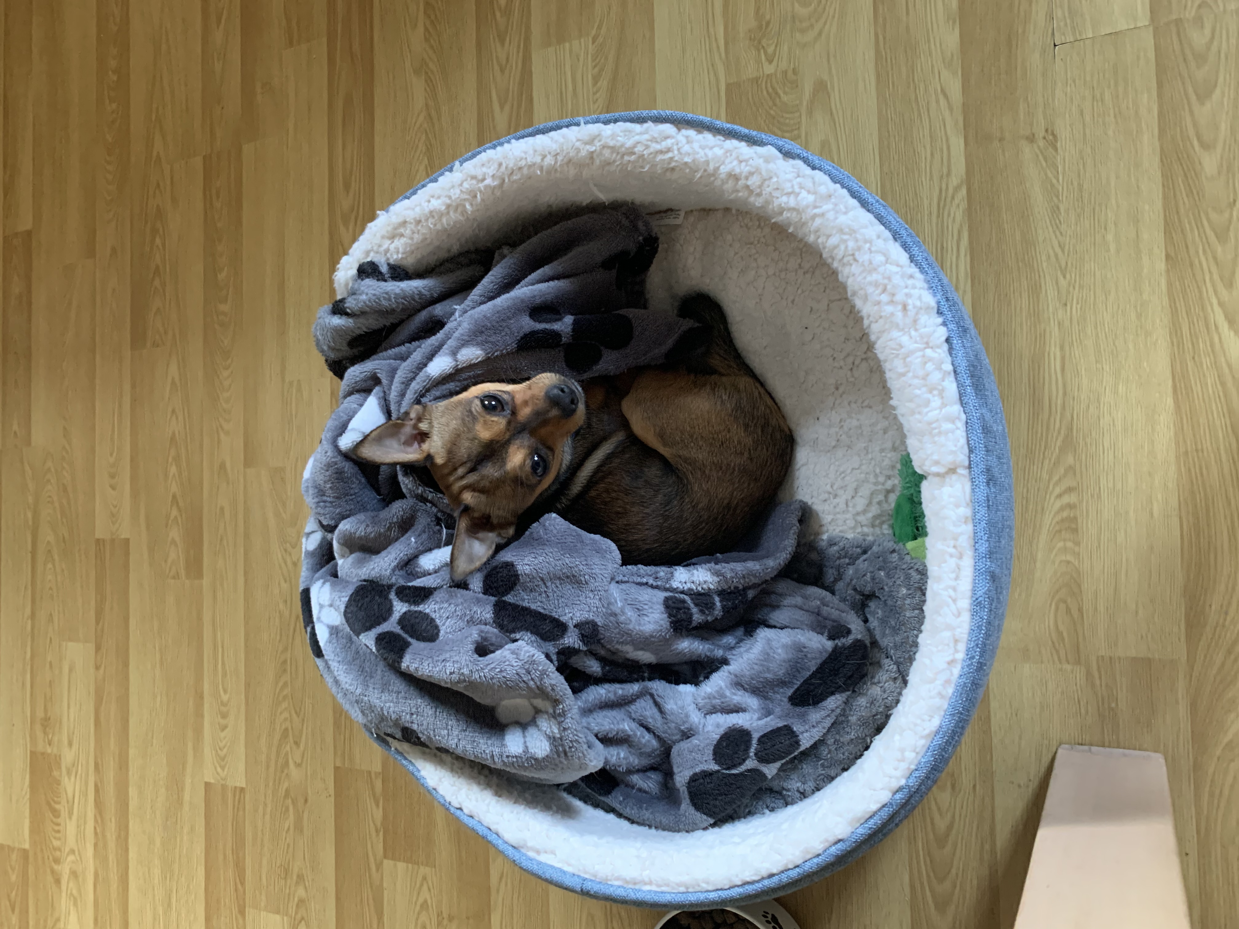 image-9
