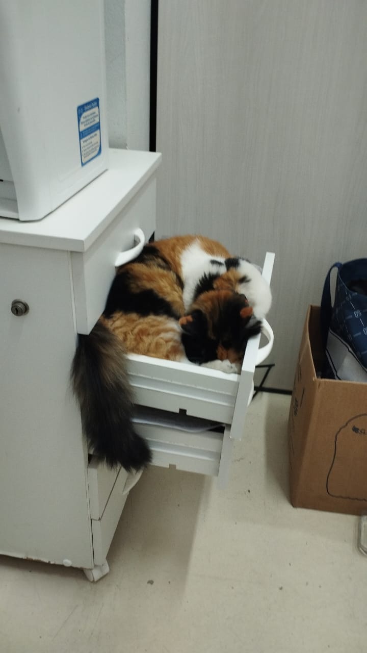 image-2