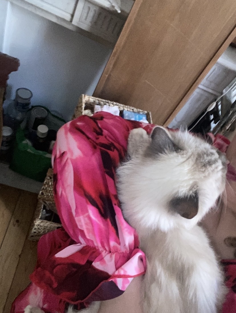 image-16