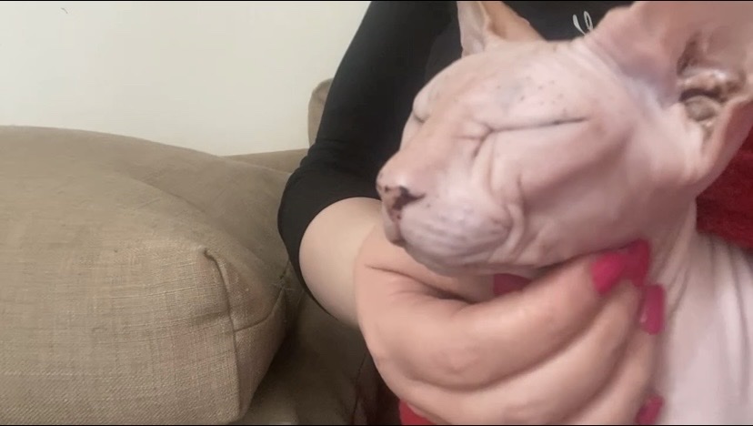 image-12