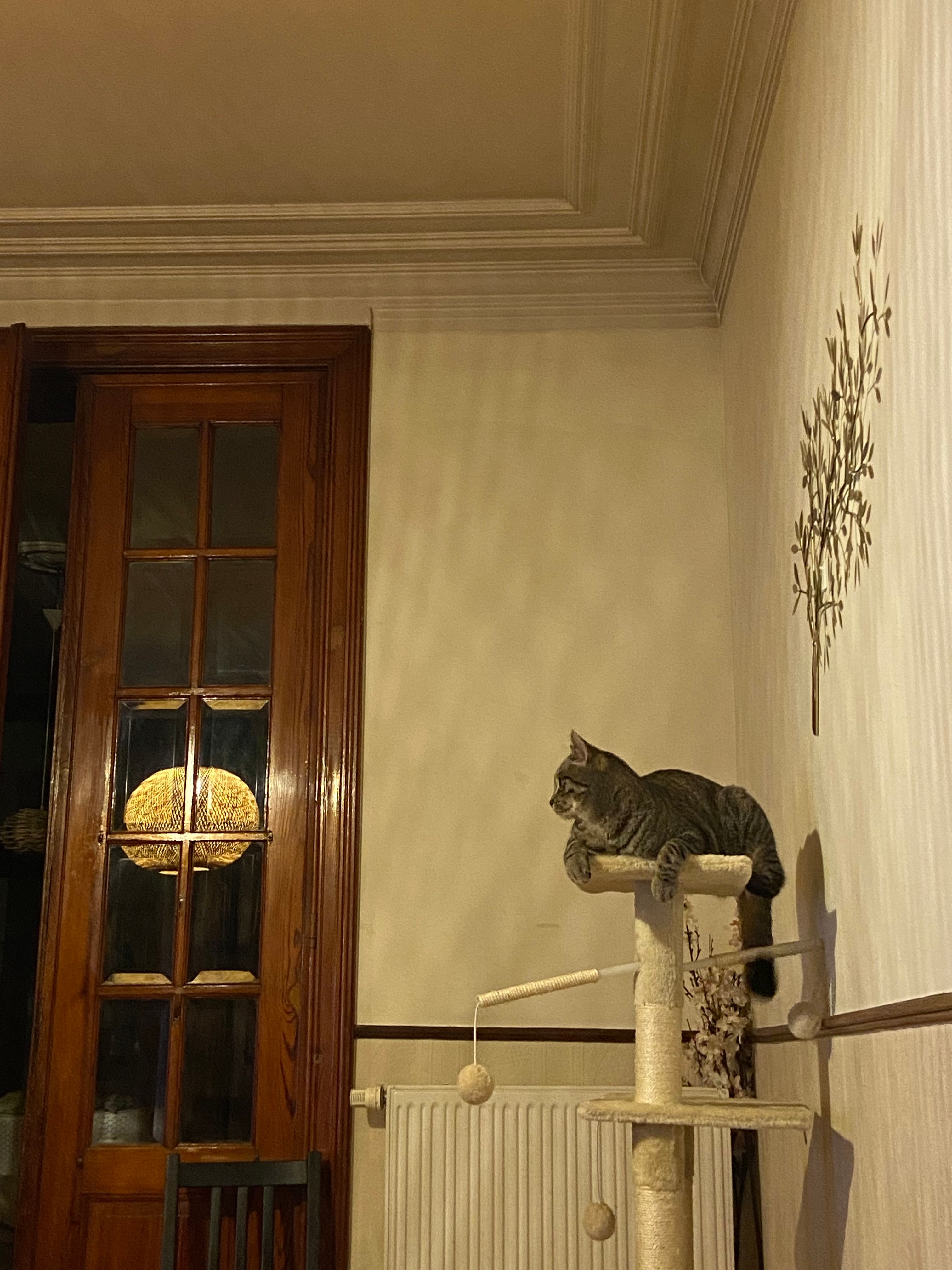 image-12
