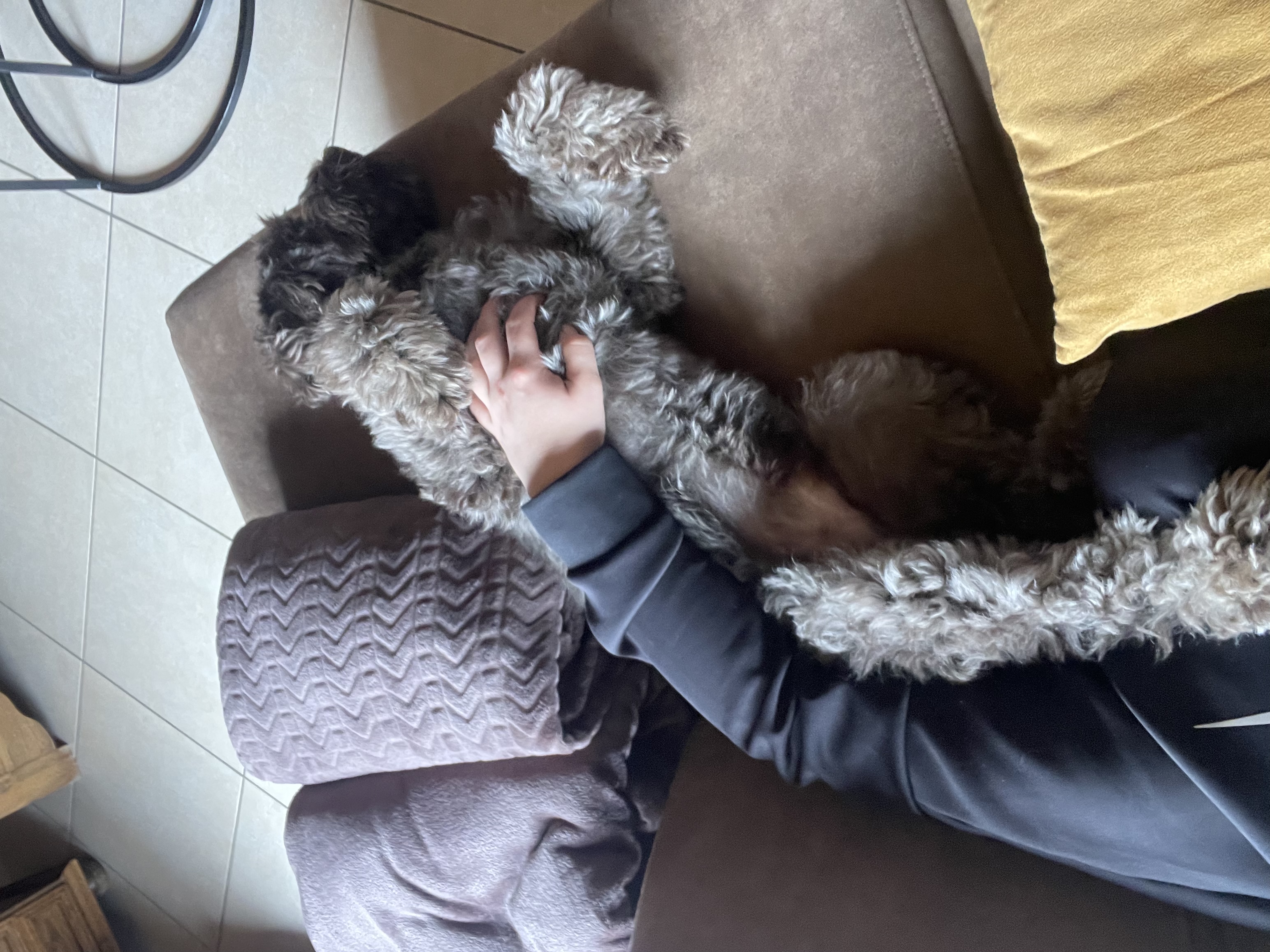 image-7