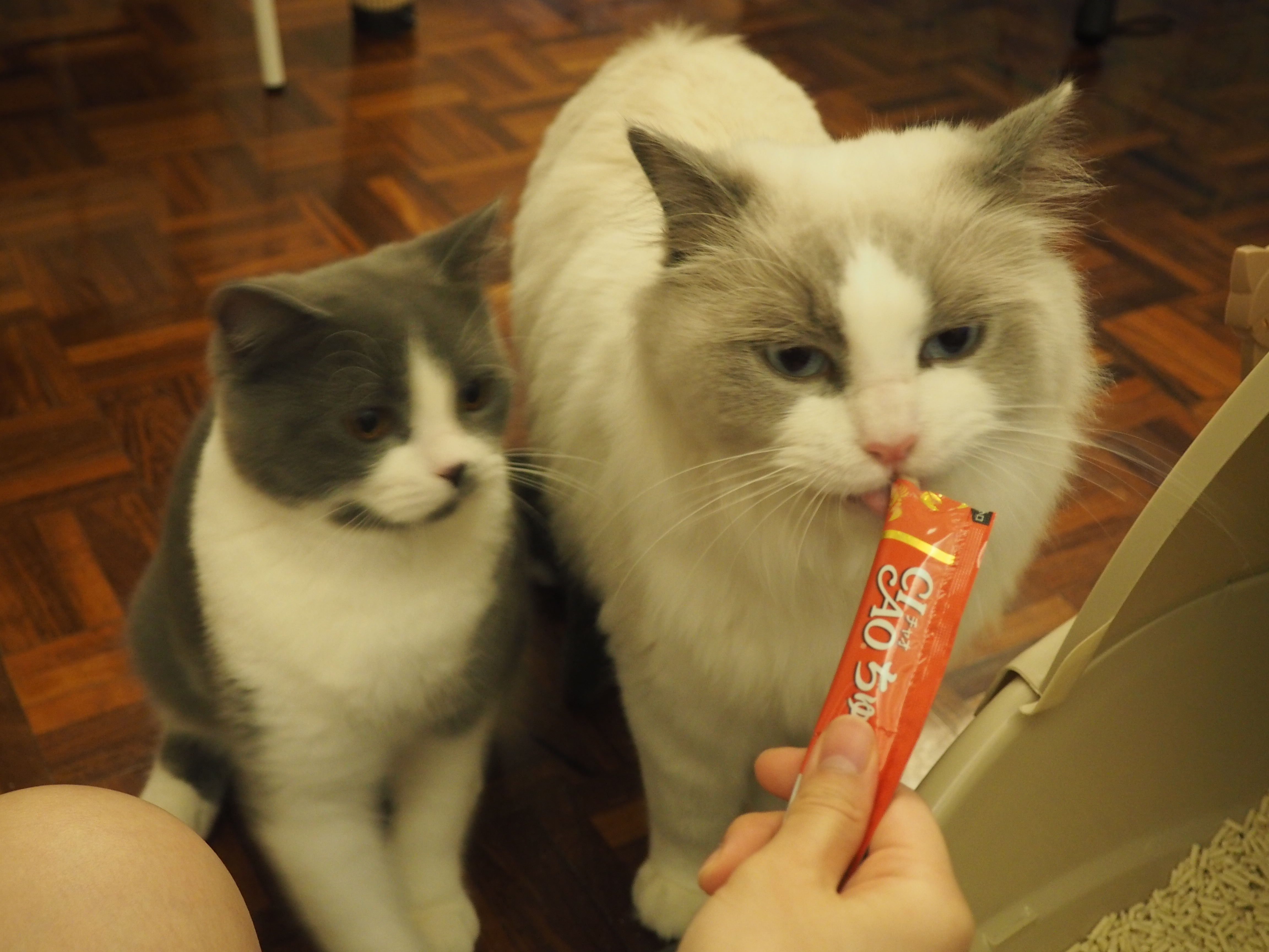 image-7