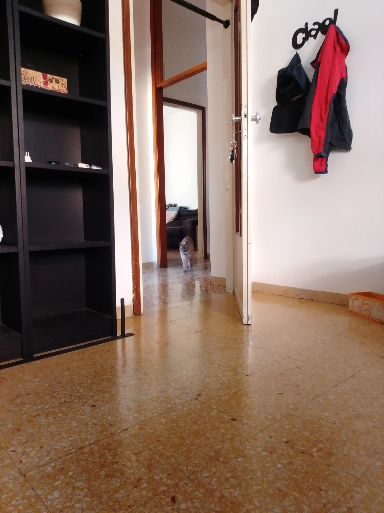 image-12