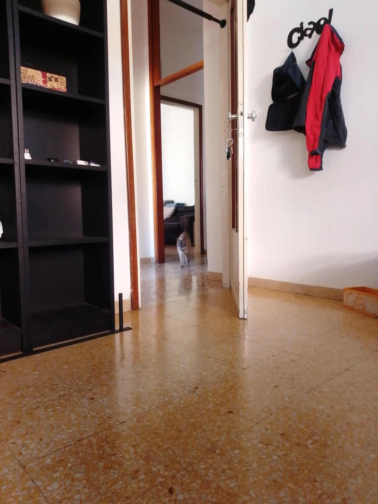 image-12