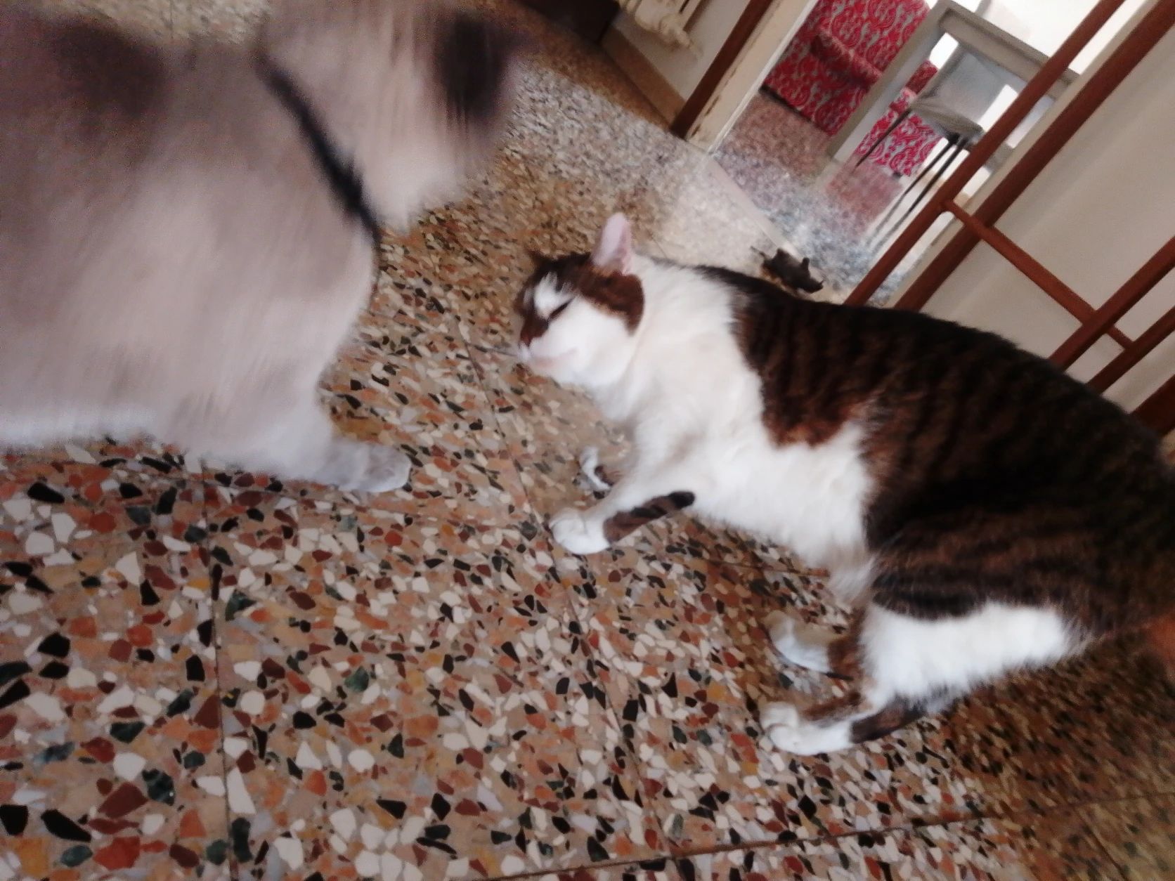 image-5