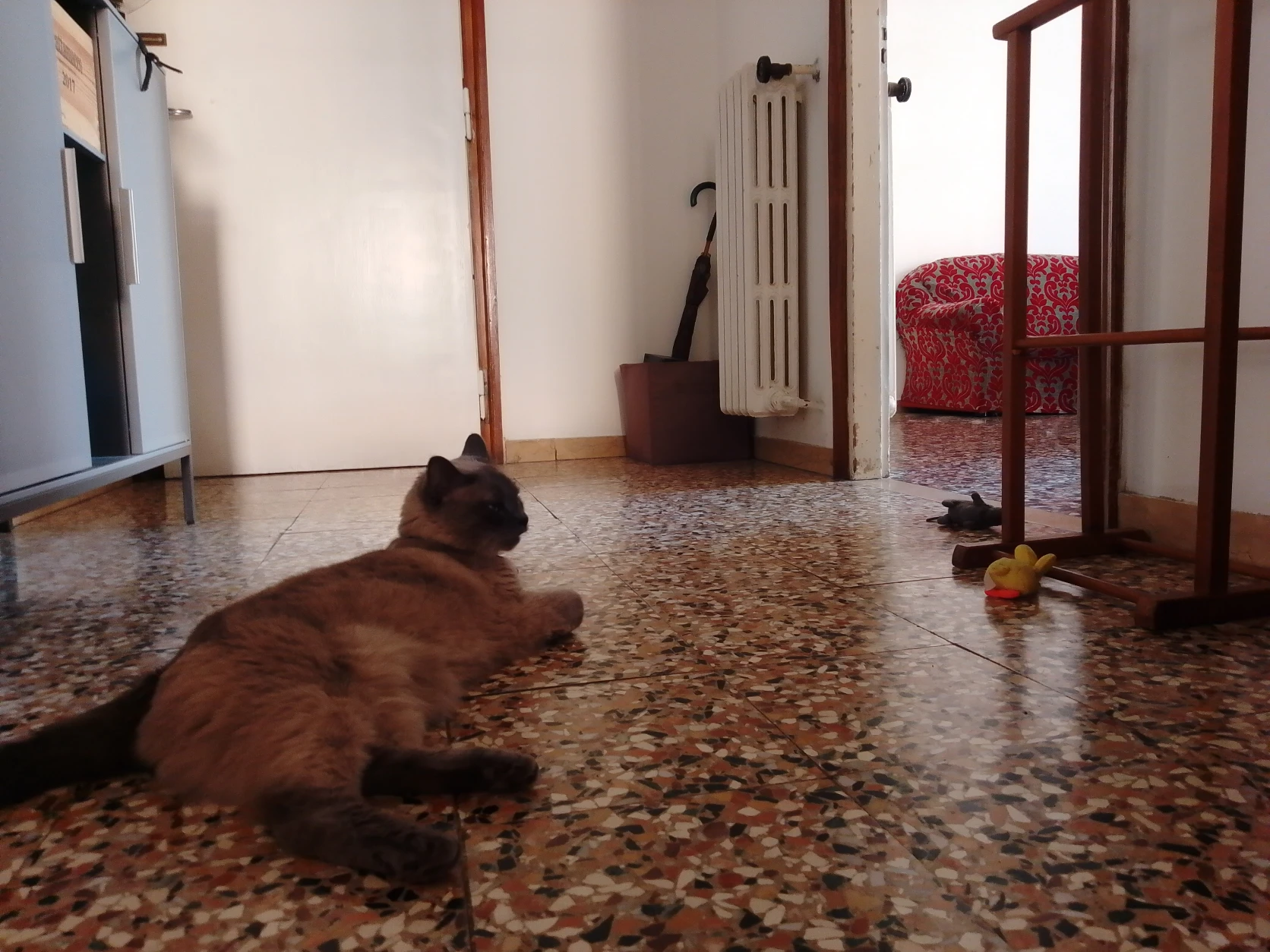 image-9