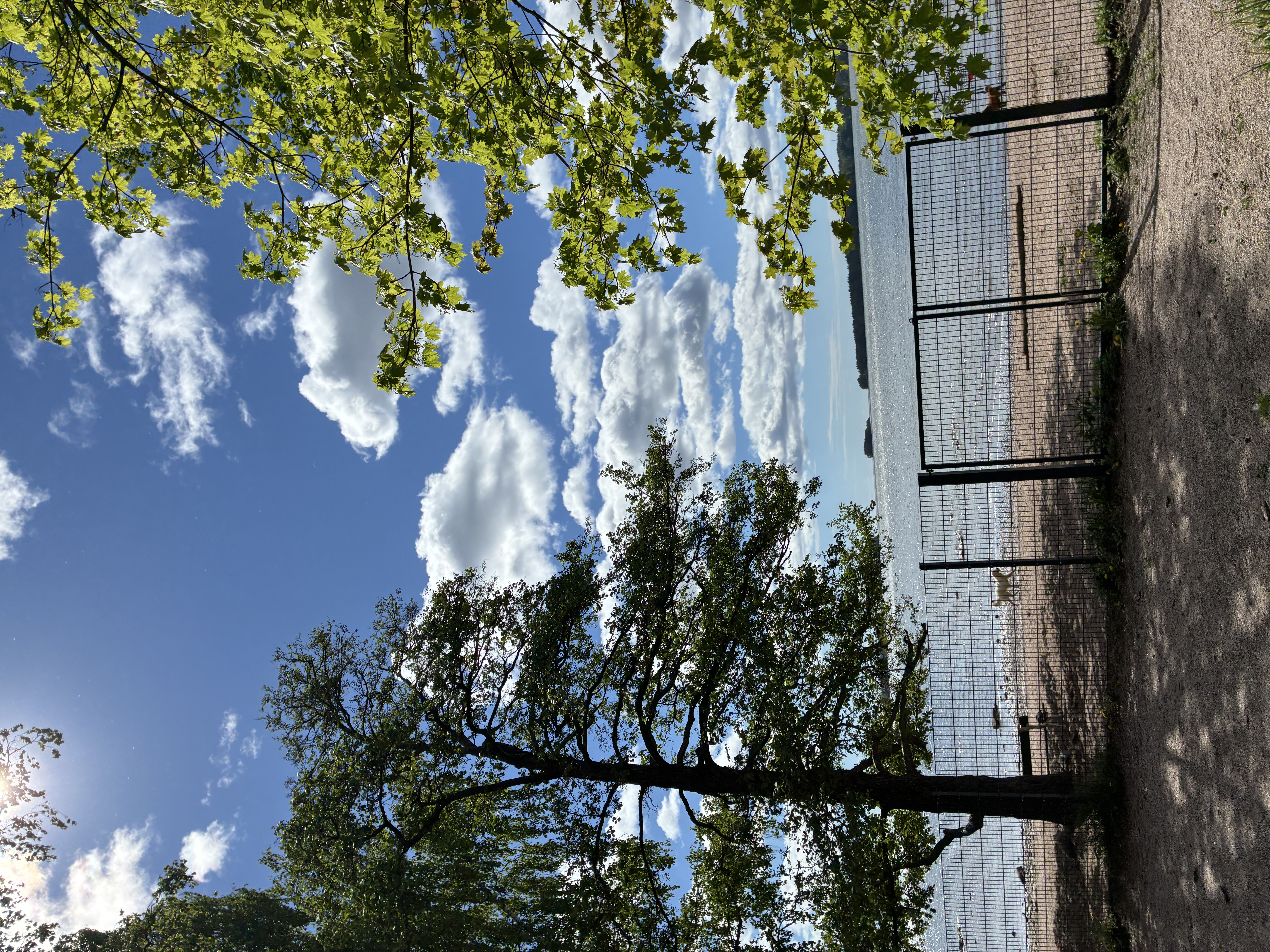image-15