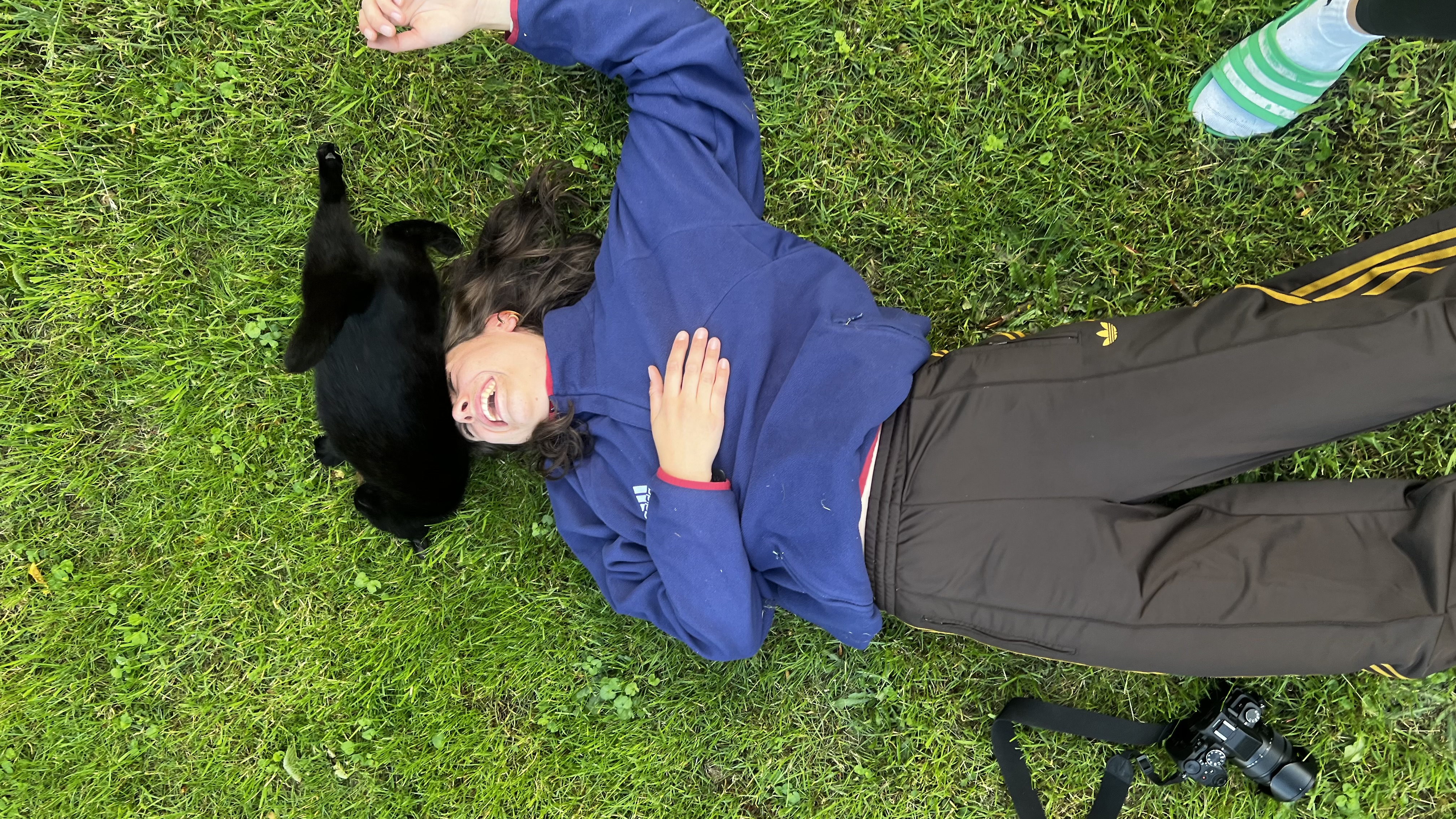 image-4