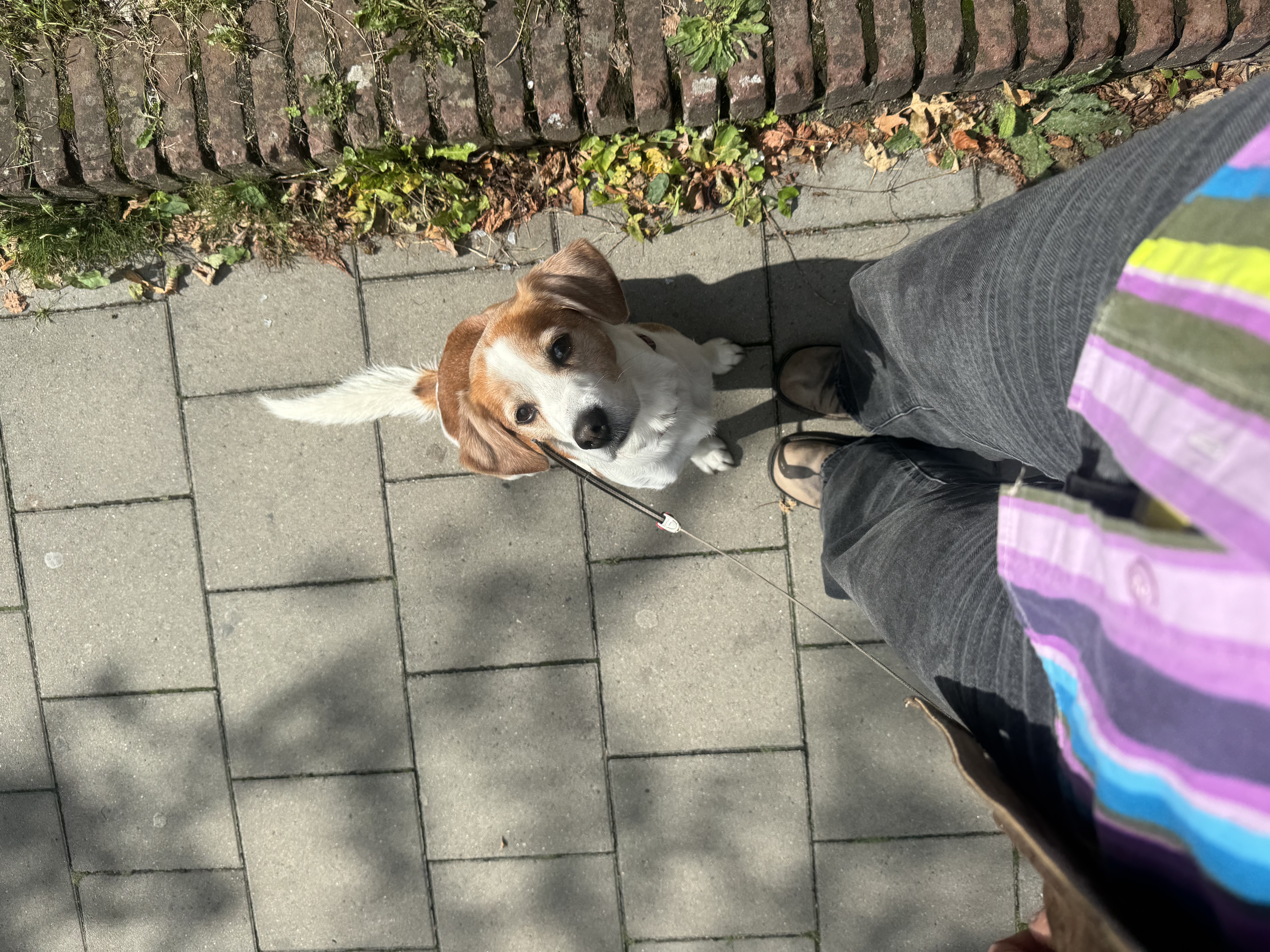 image-12