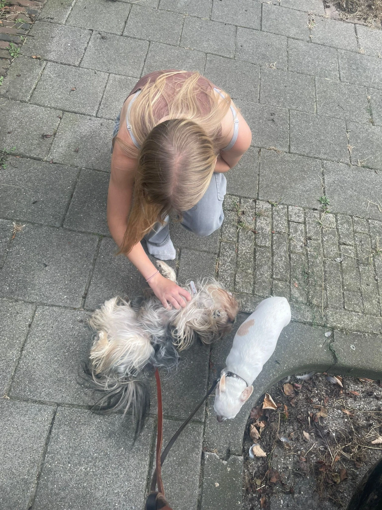 image-7