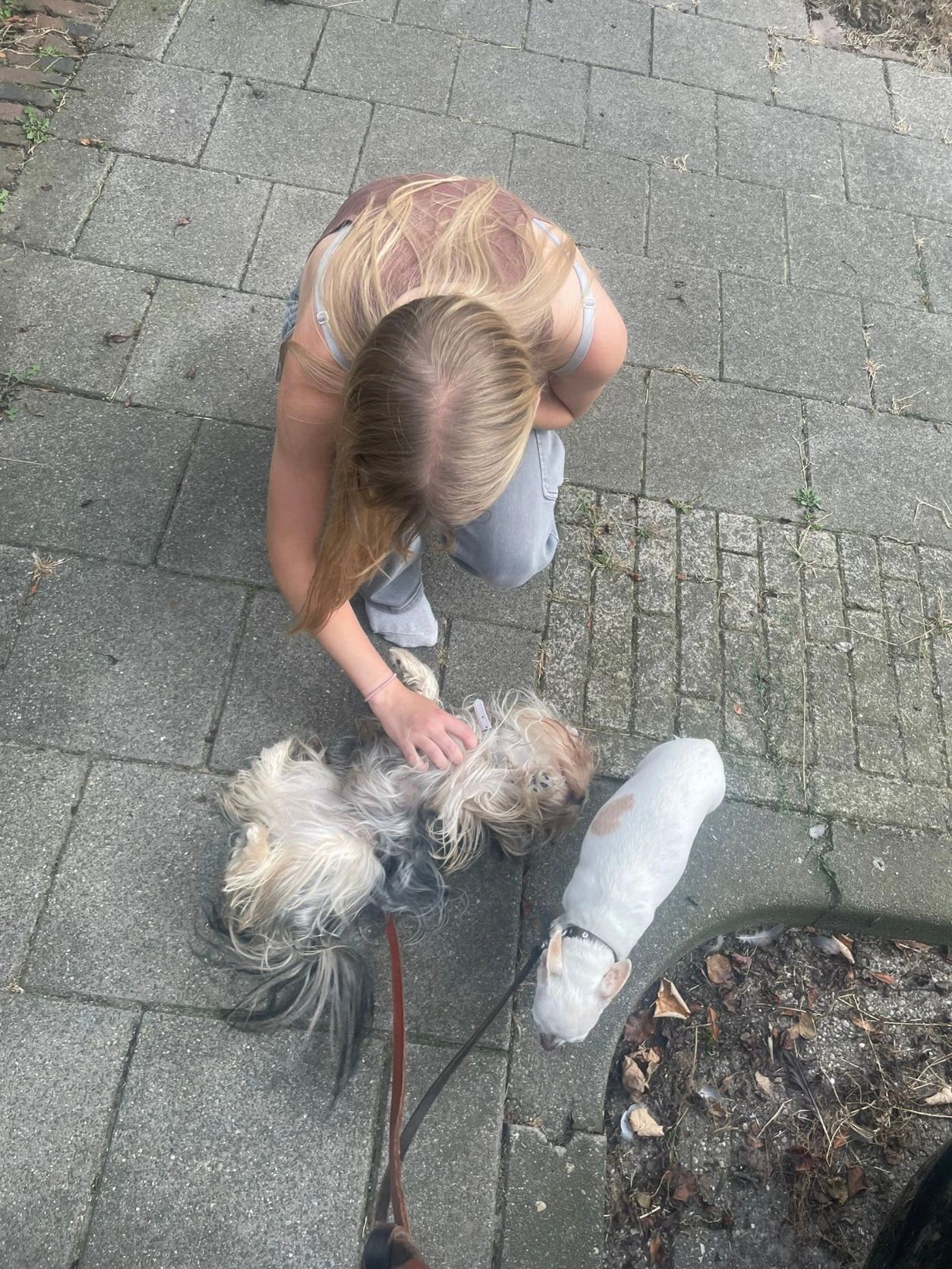 image-7