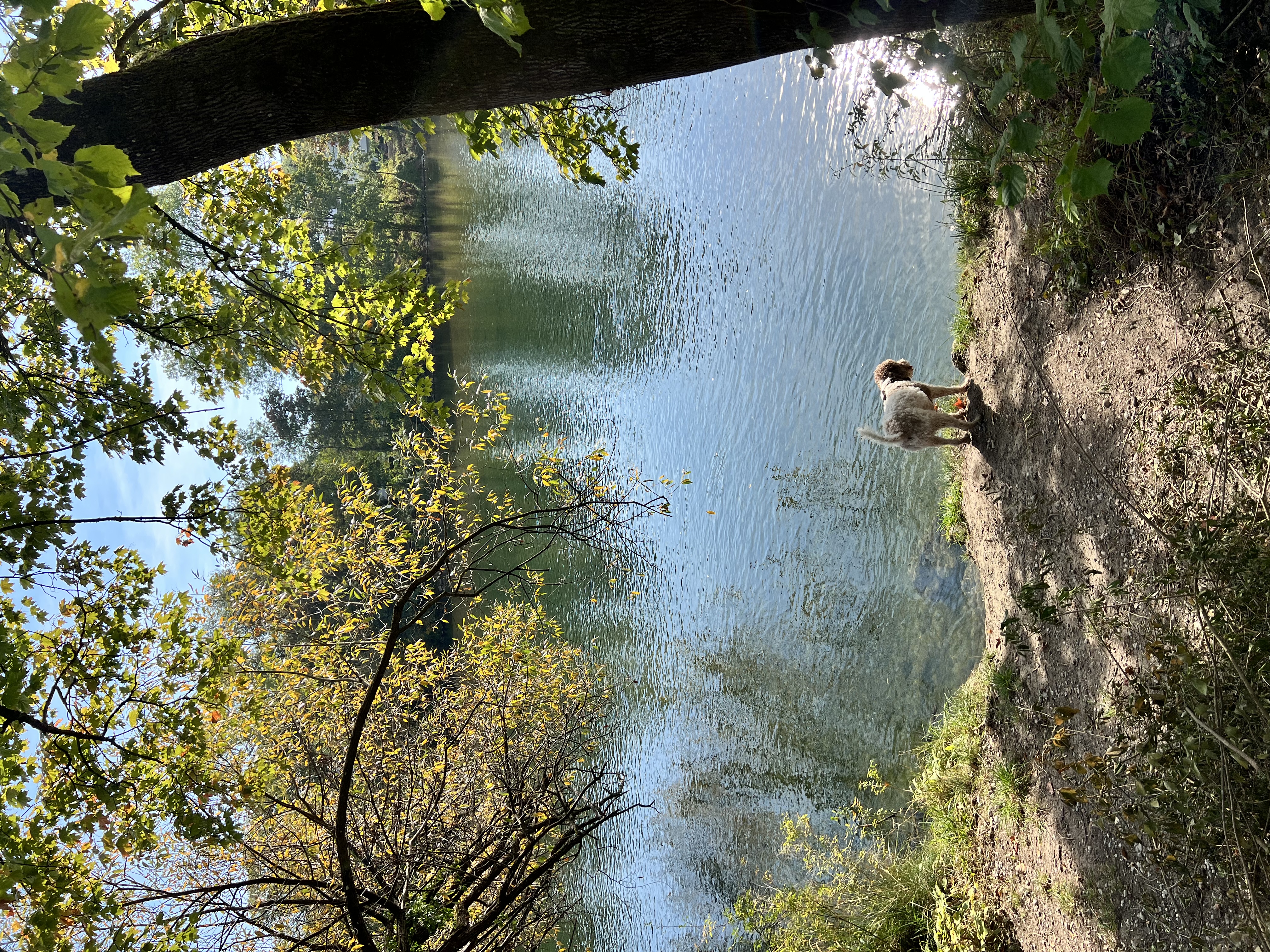 image-15