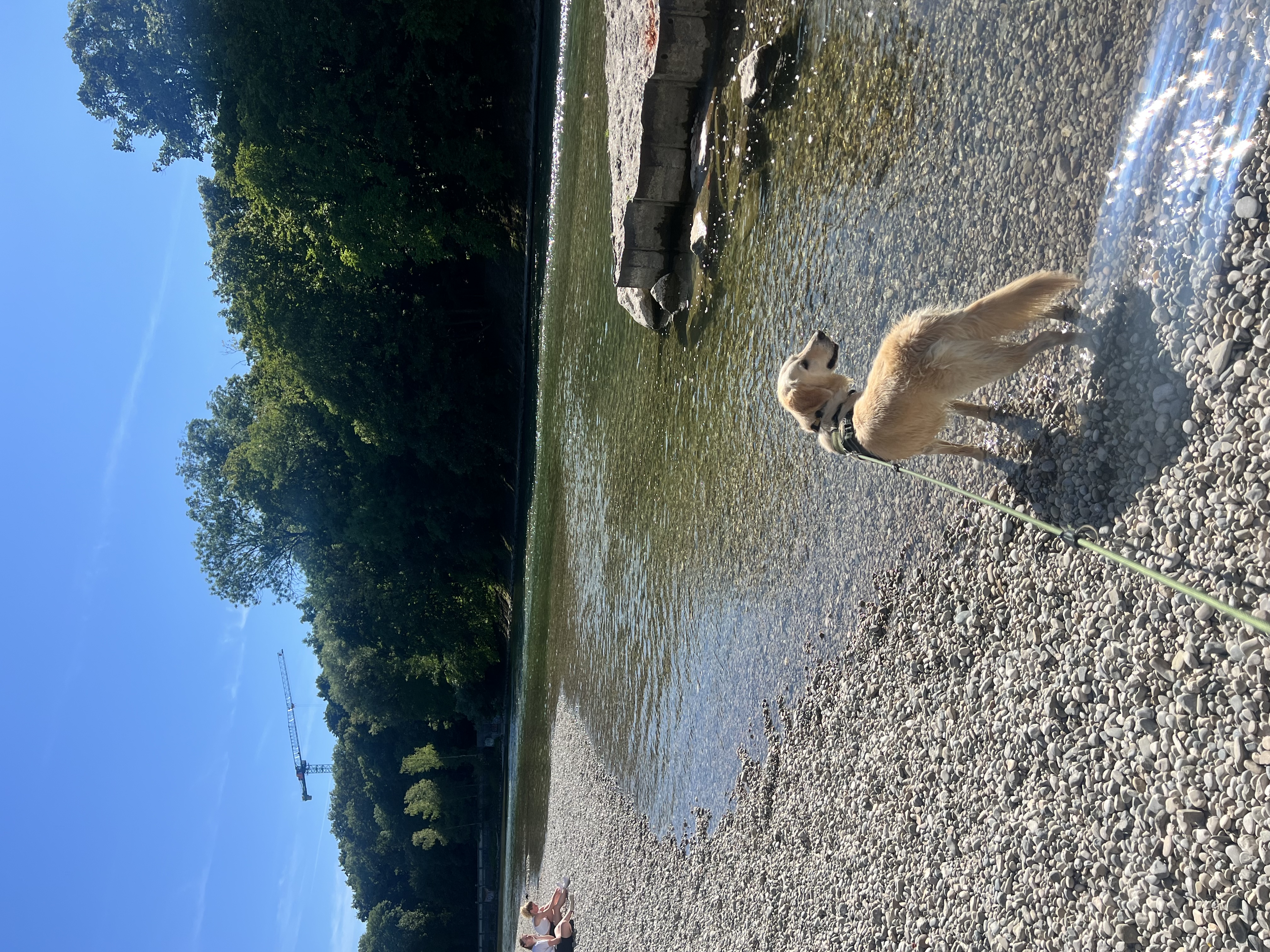 image-5