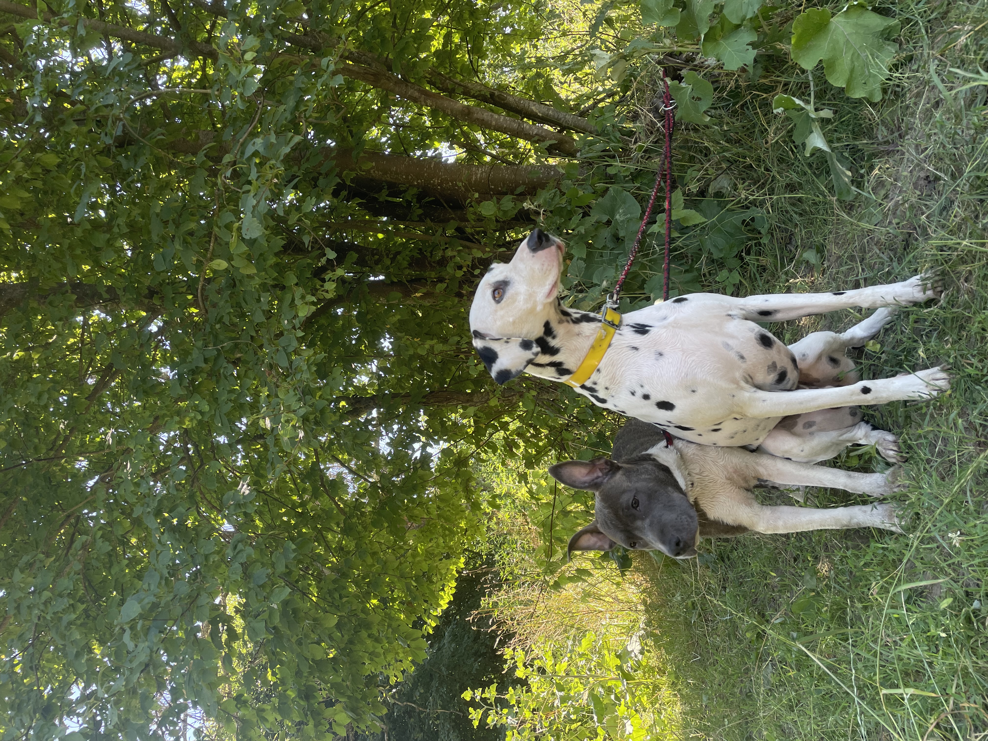 image-9