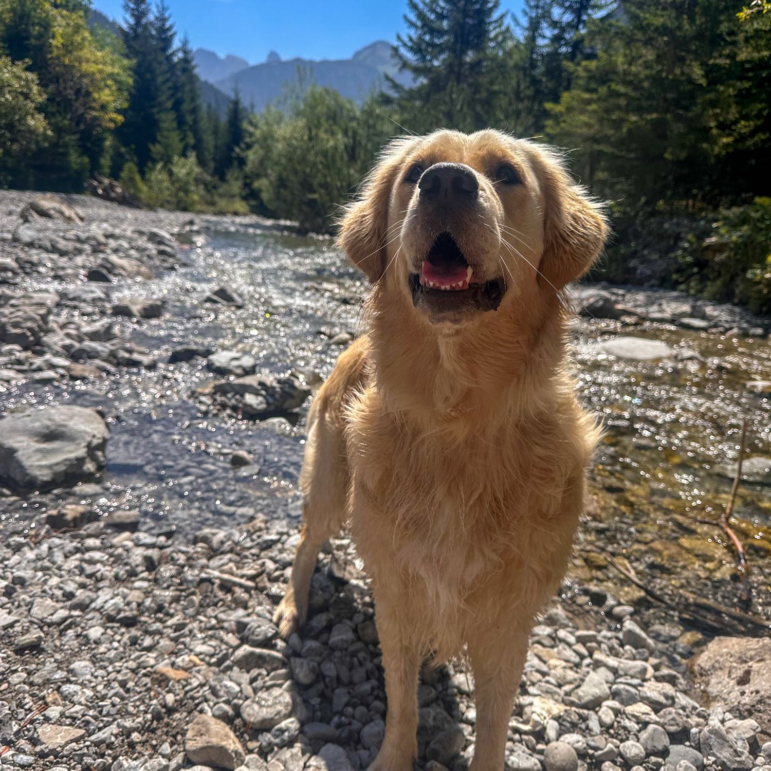 Nell