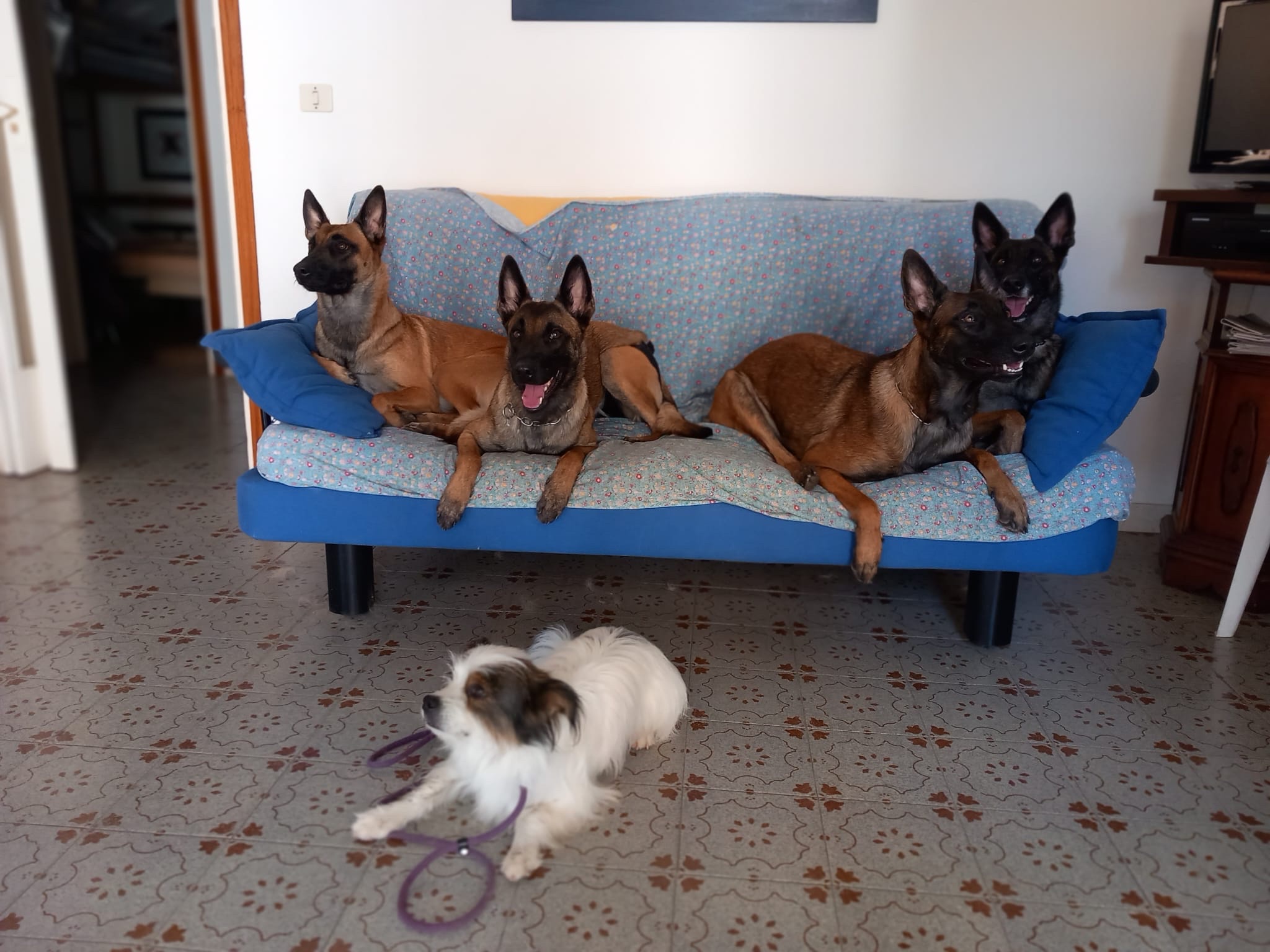 image-11