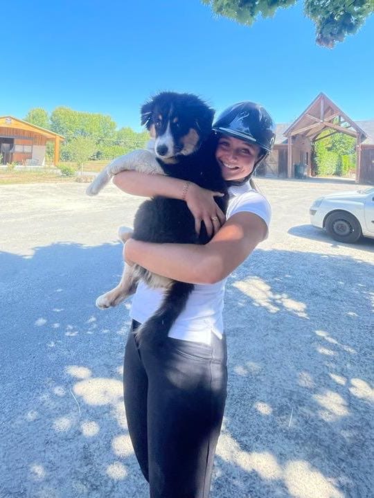 image-2