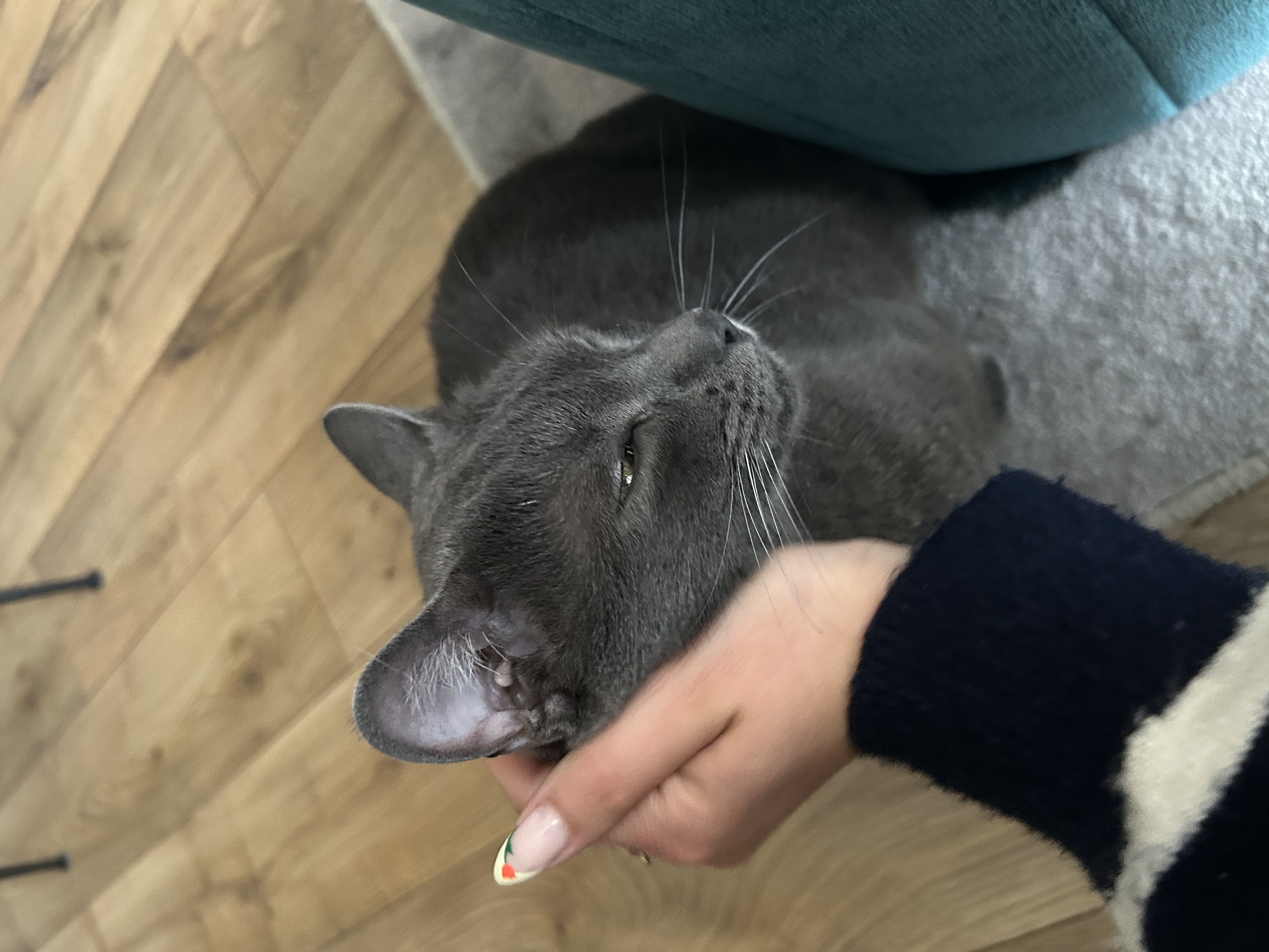 image-6