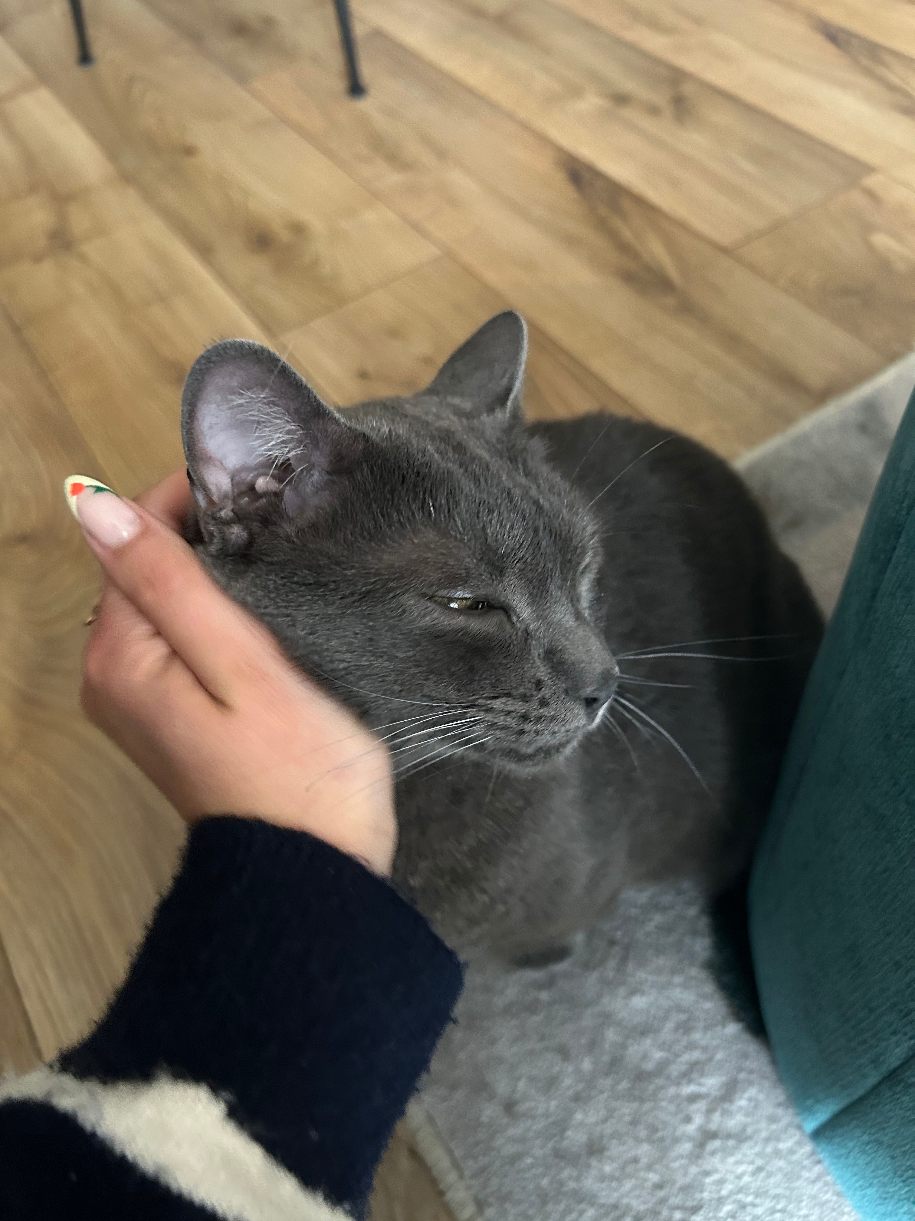 image-6