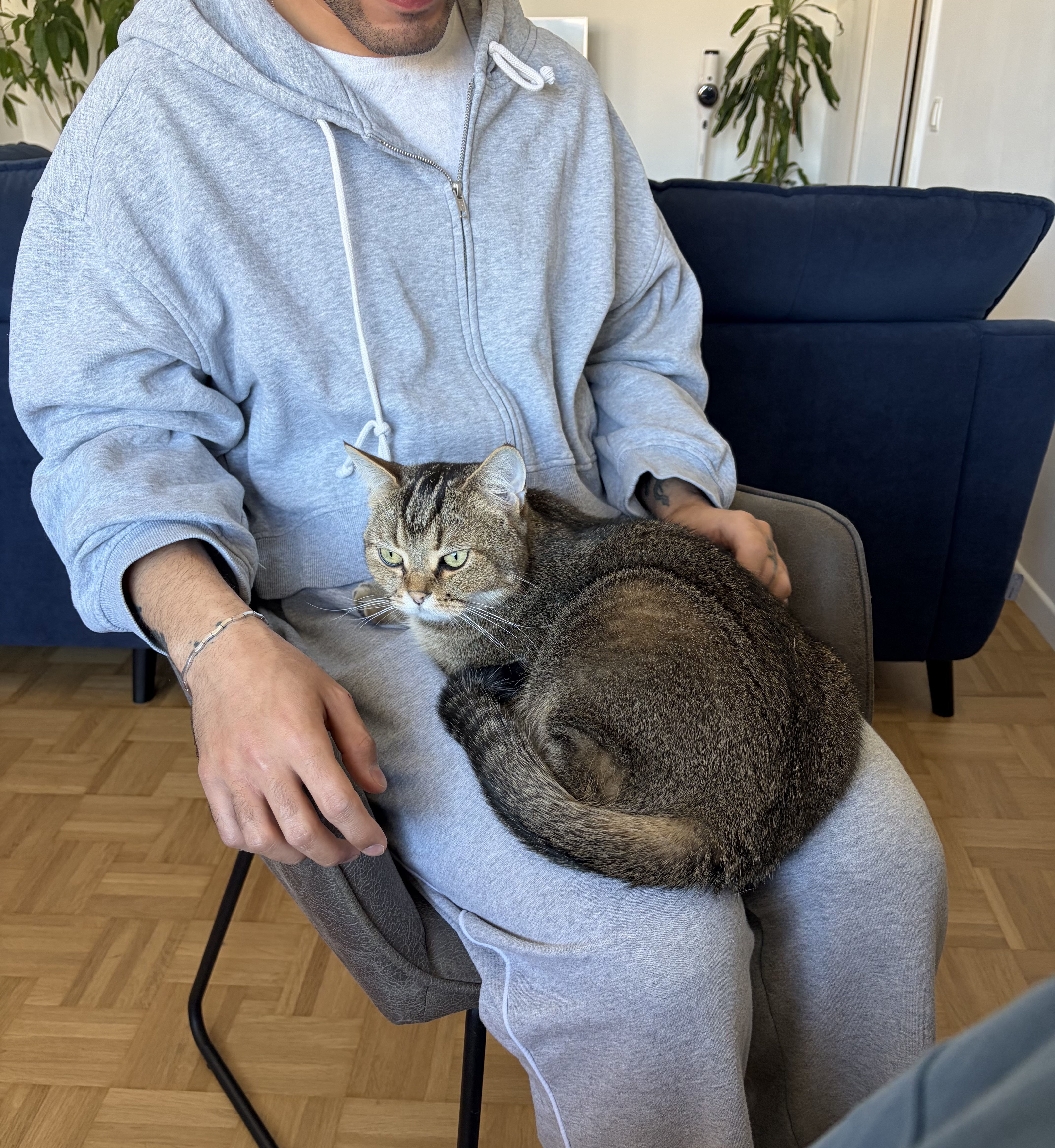 image-17