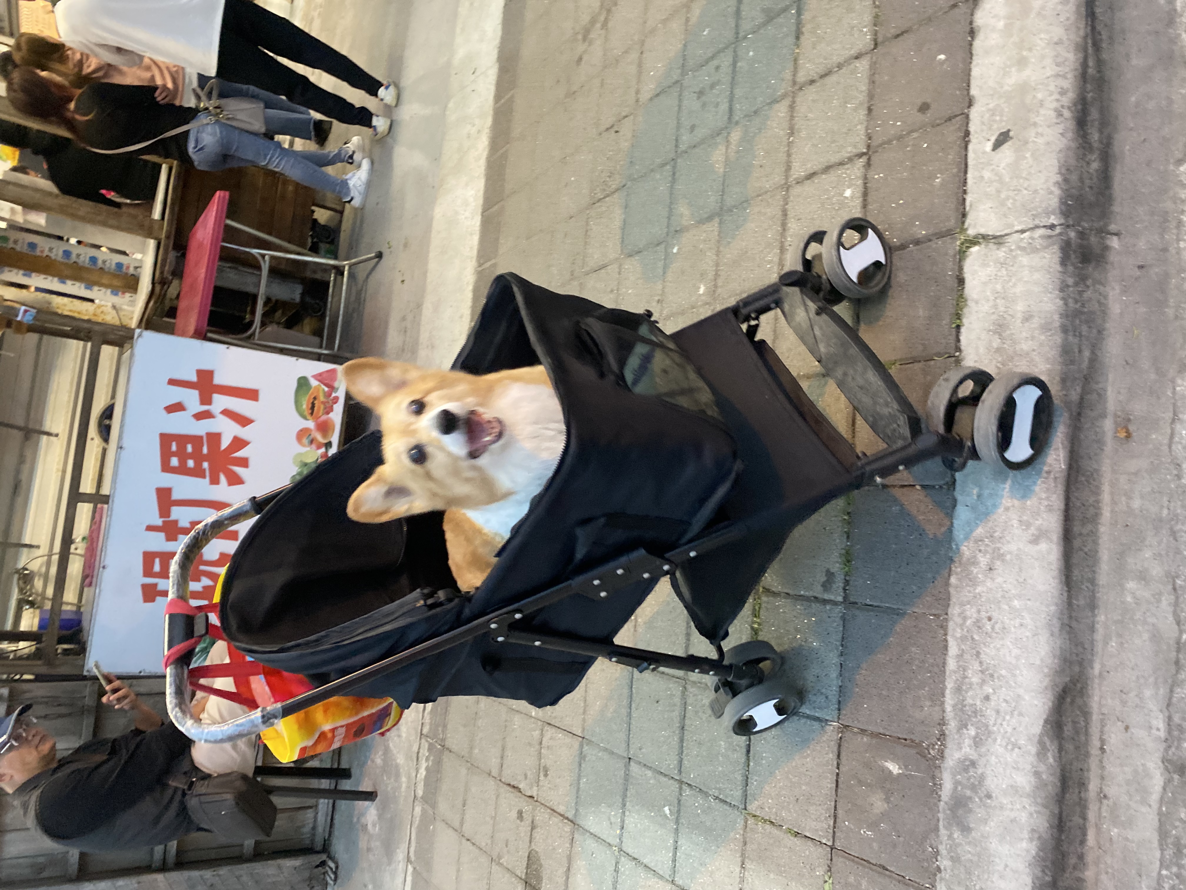 image-3