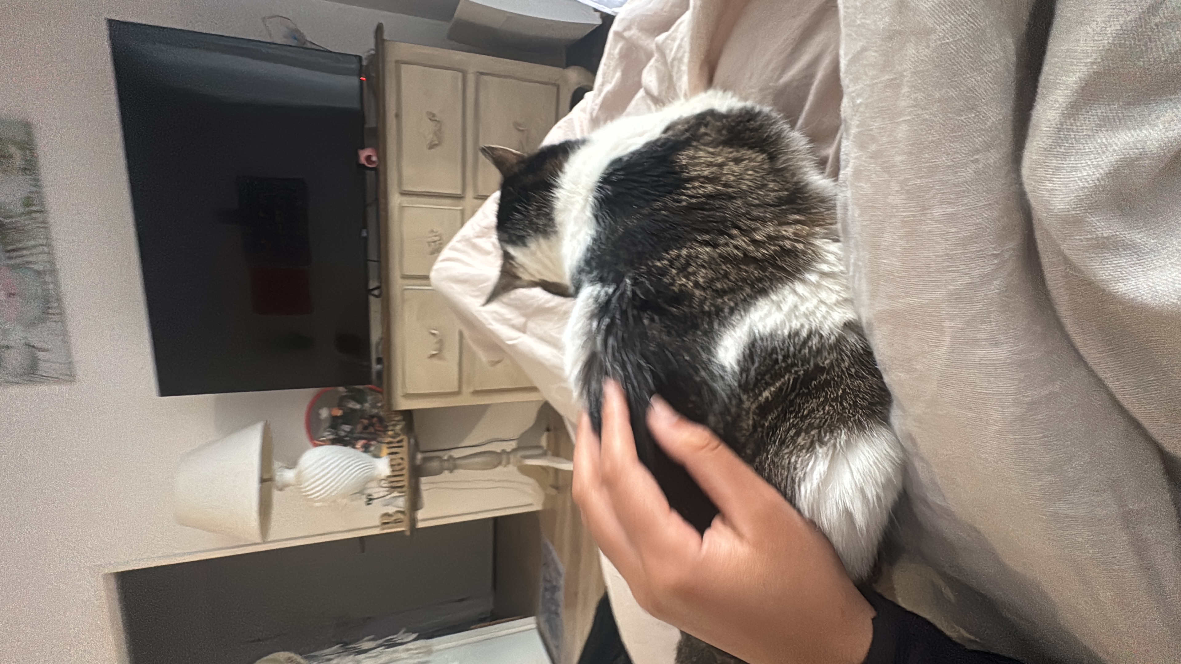 image-6