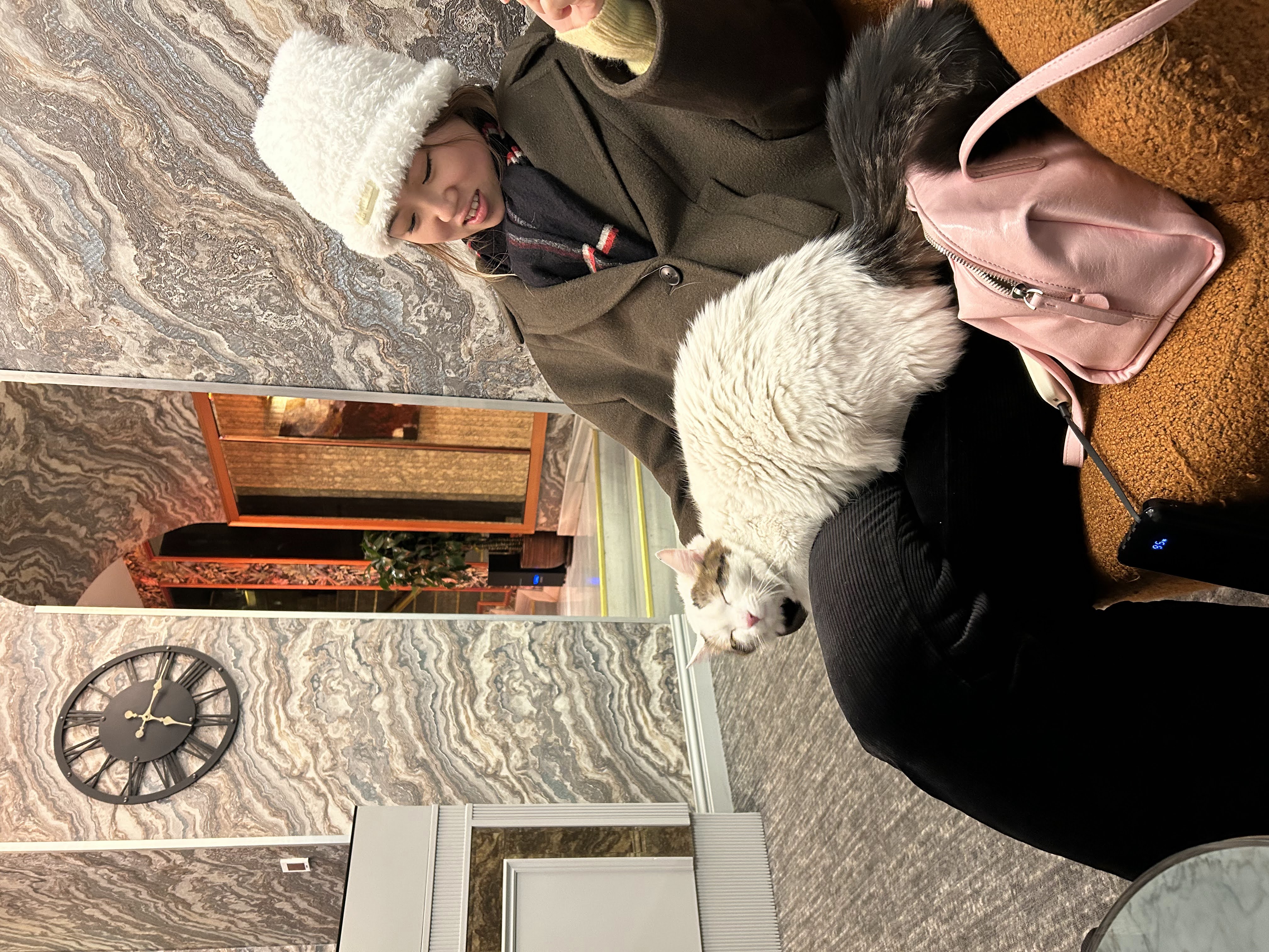 image-8