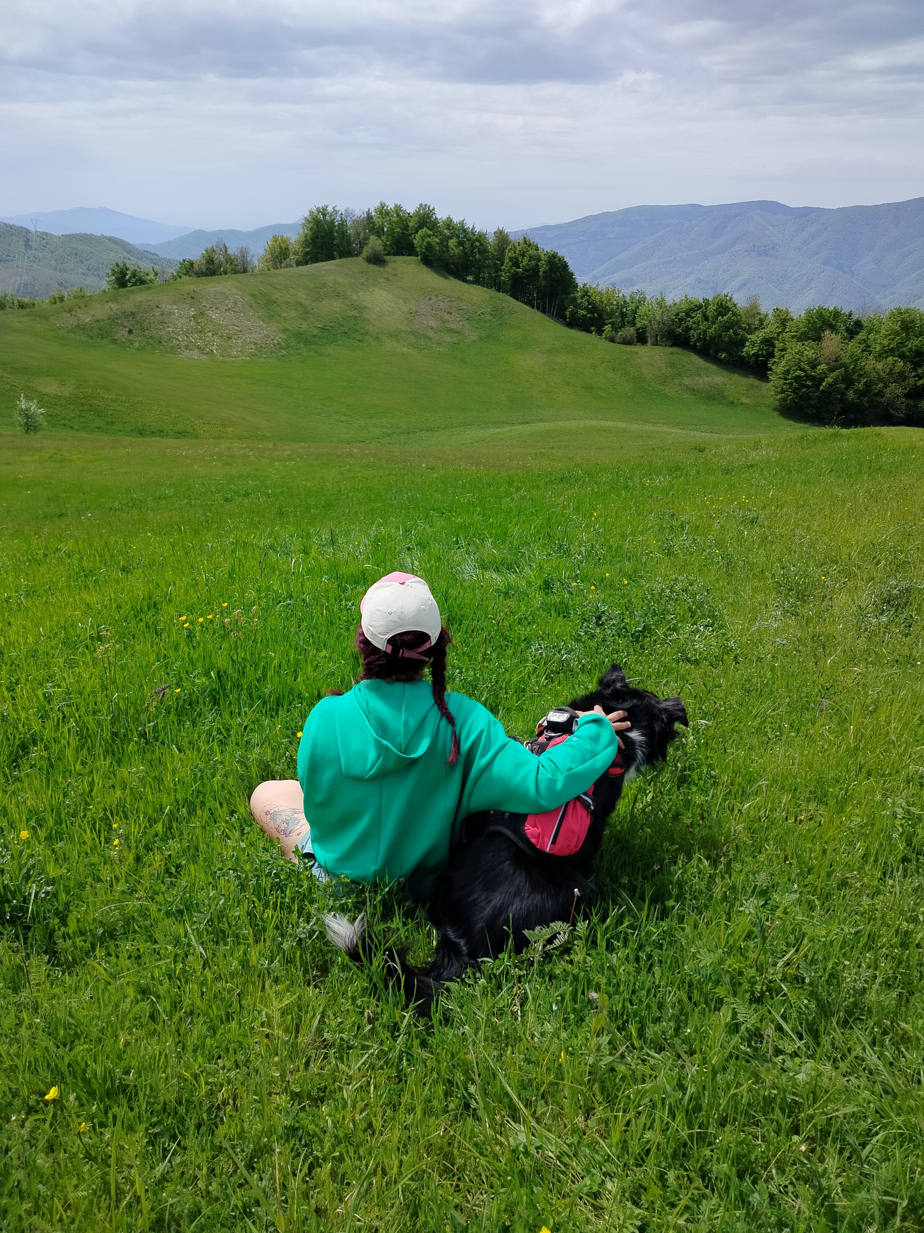 image-4