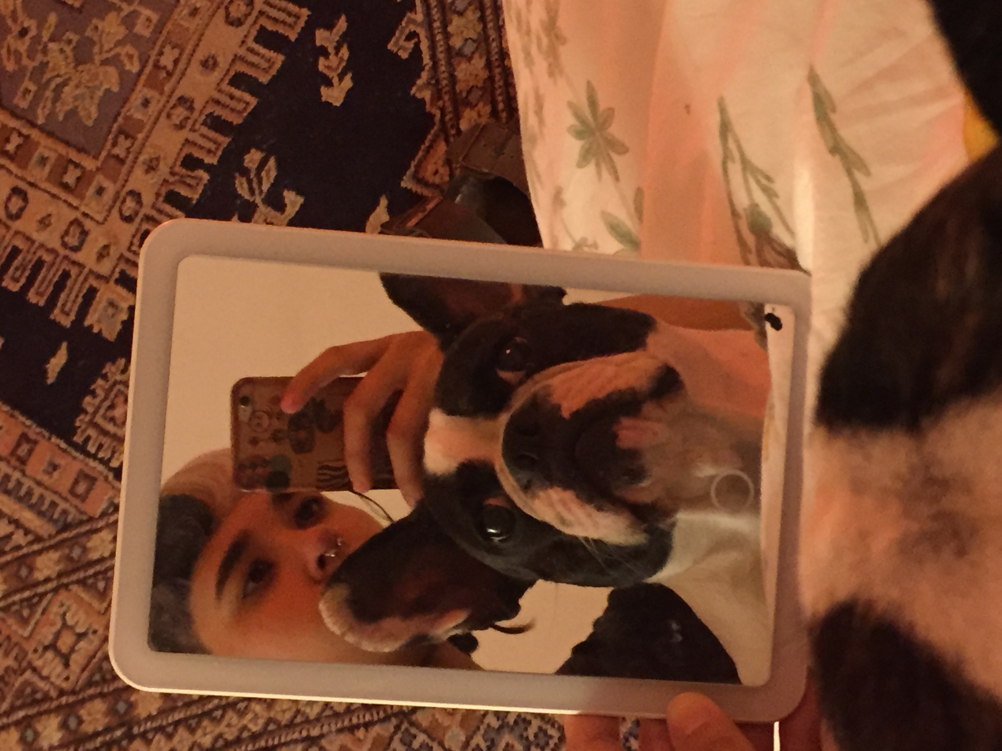 image-5