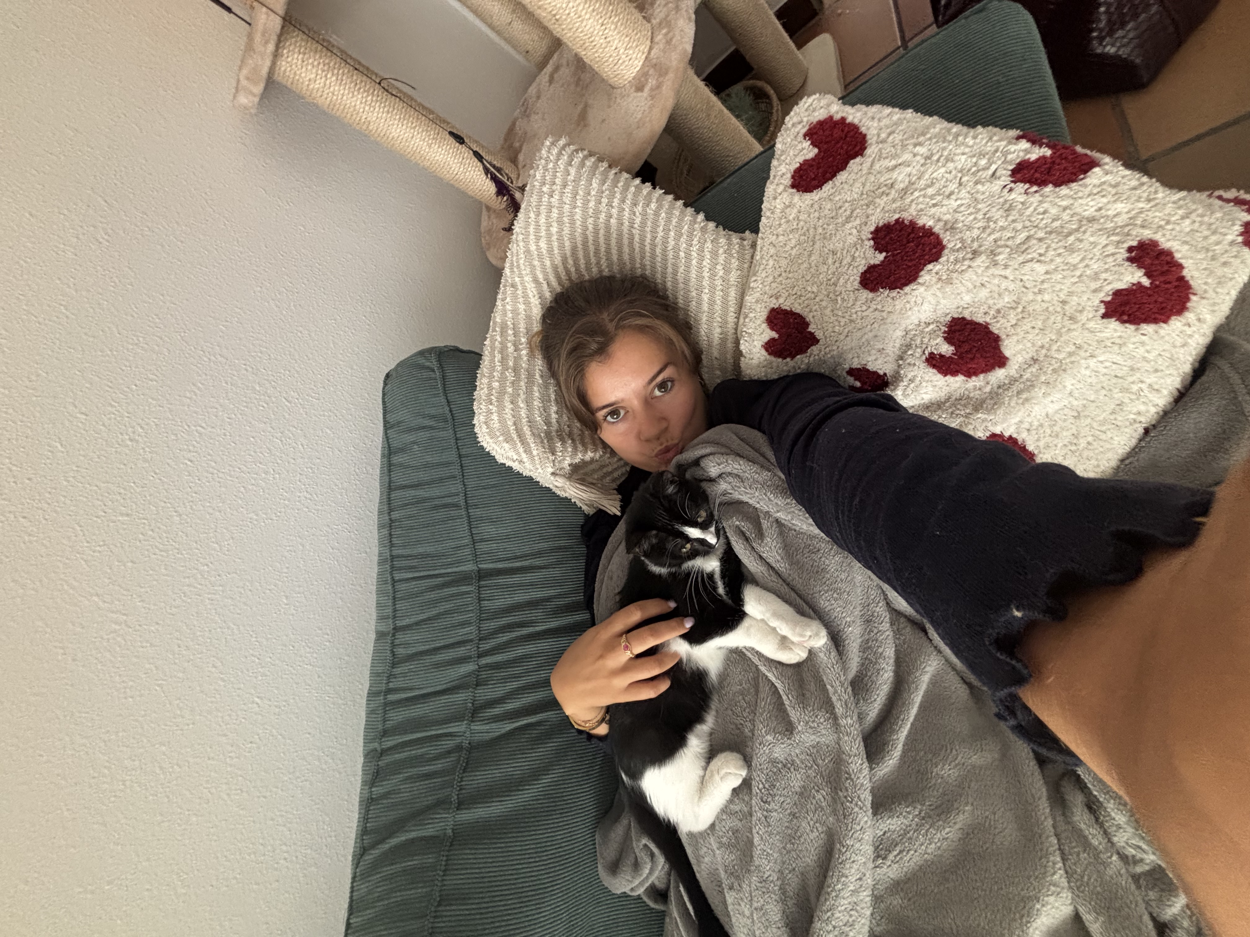 image-8