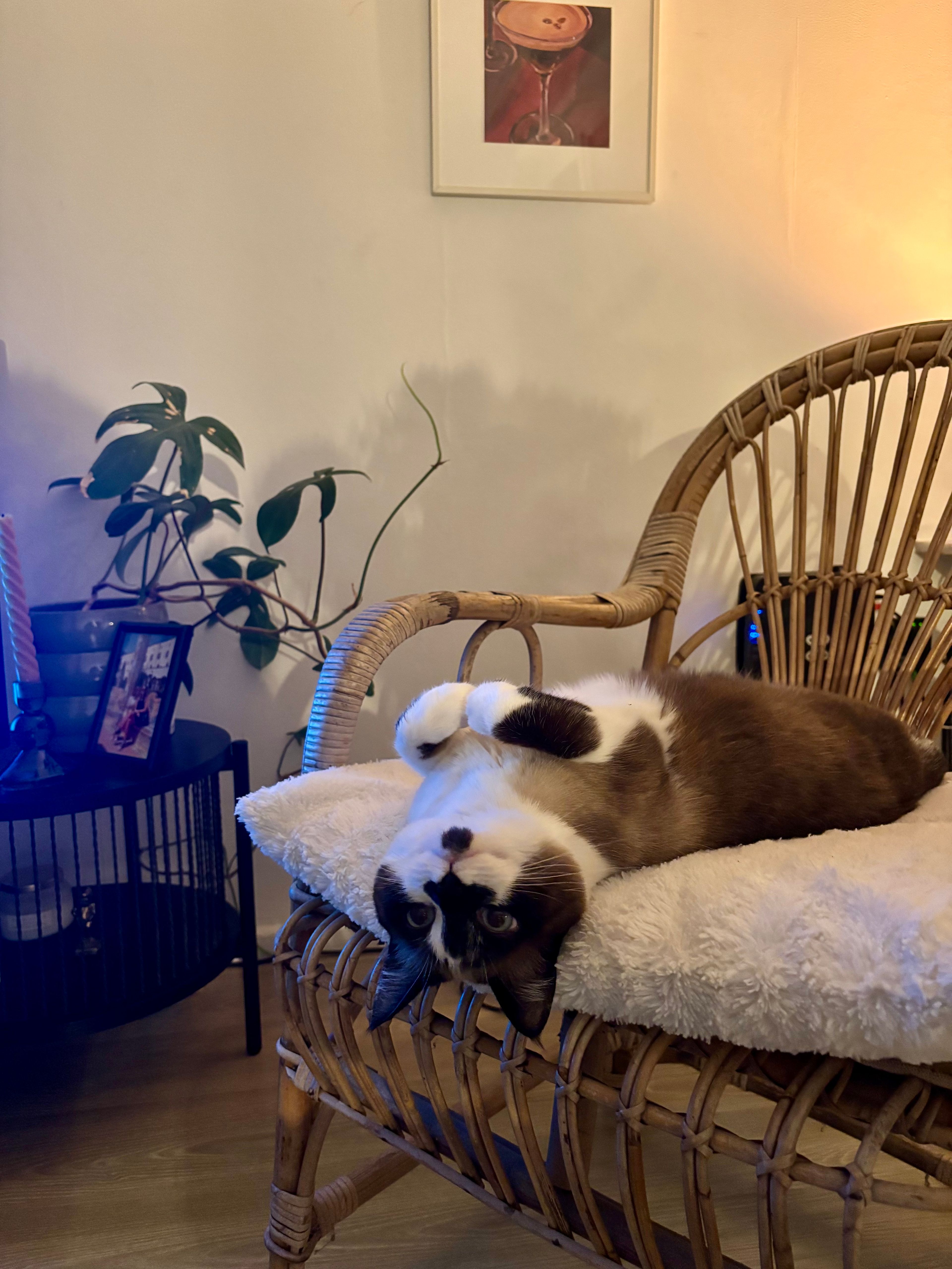 image-11
