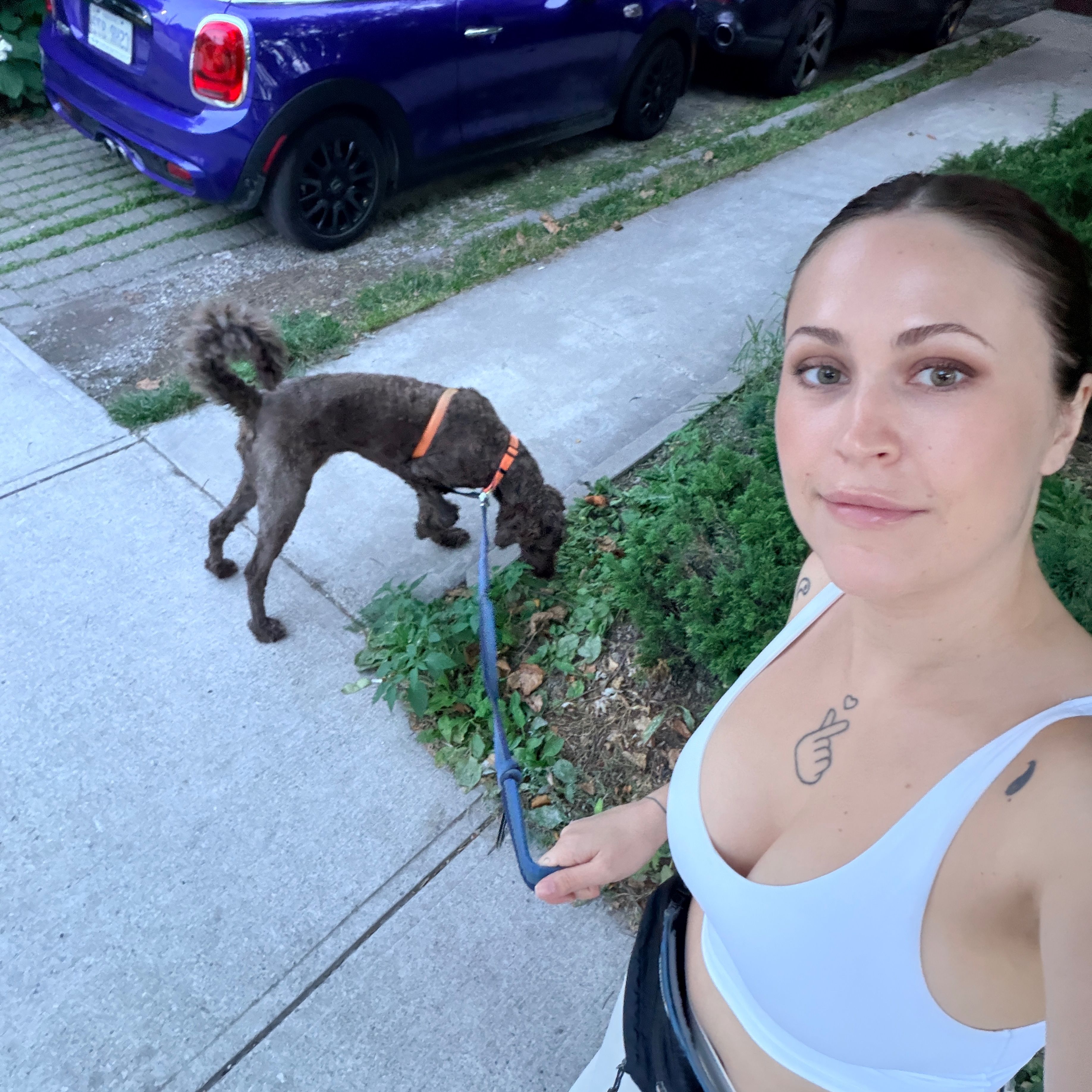 Dakota