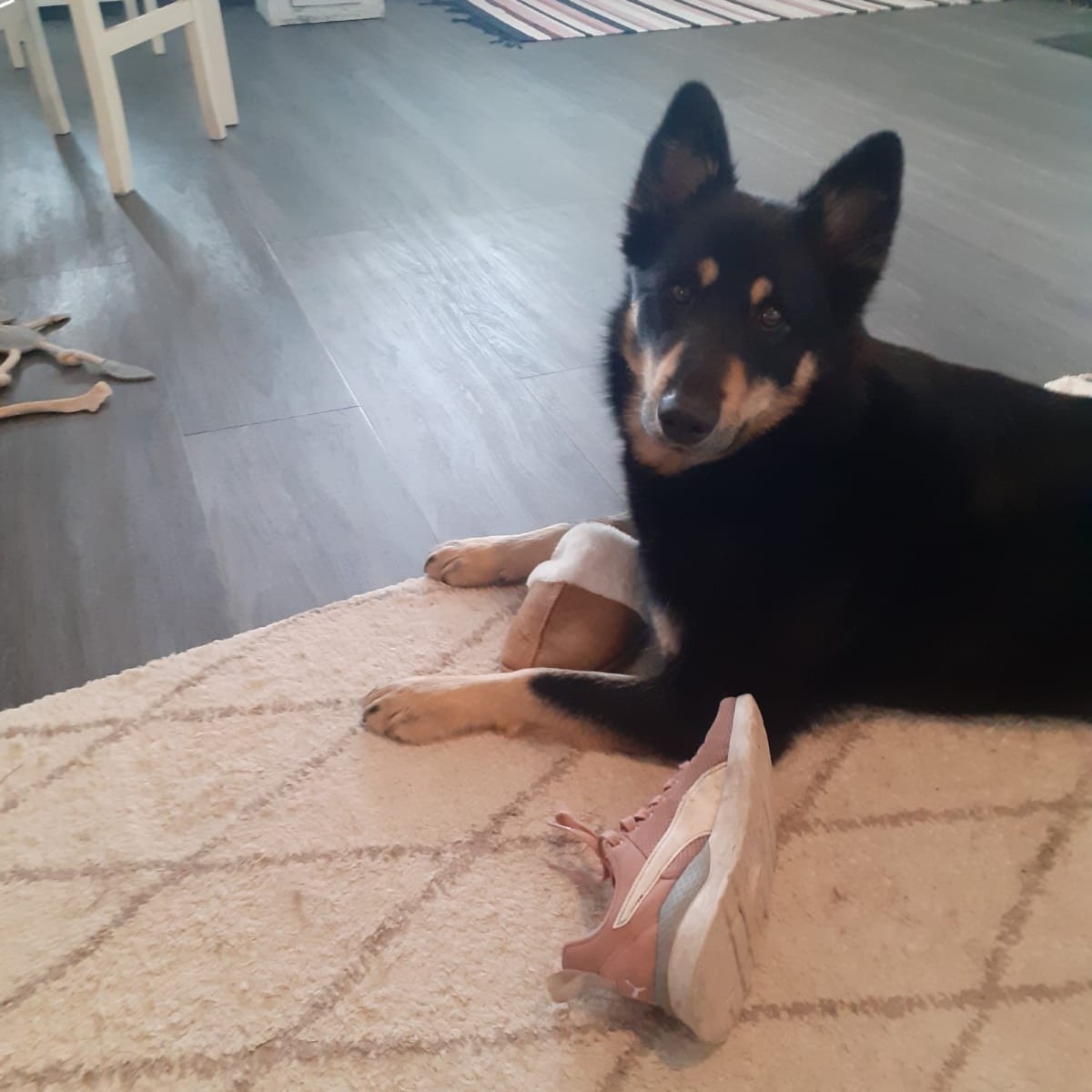 Mervi