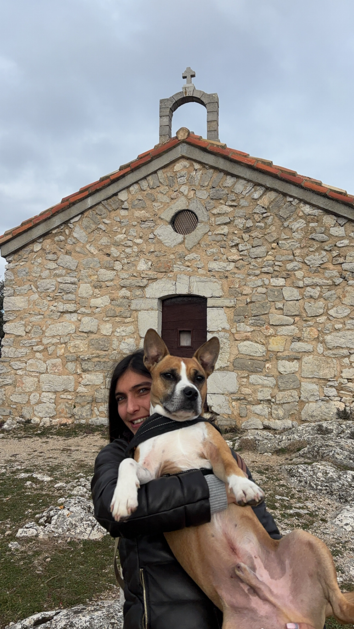 image-7