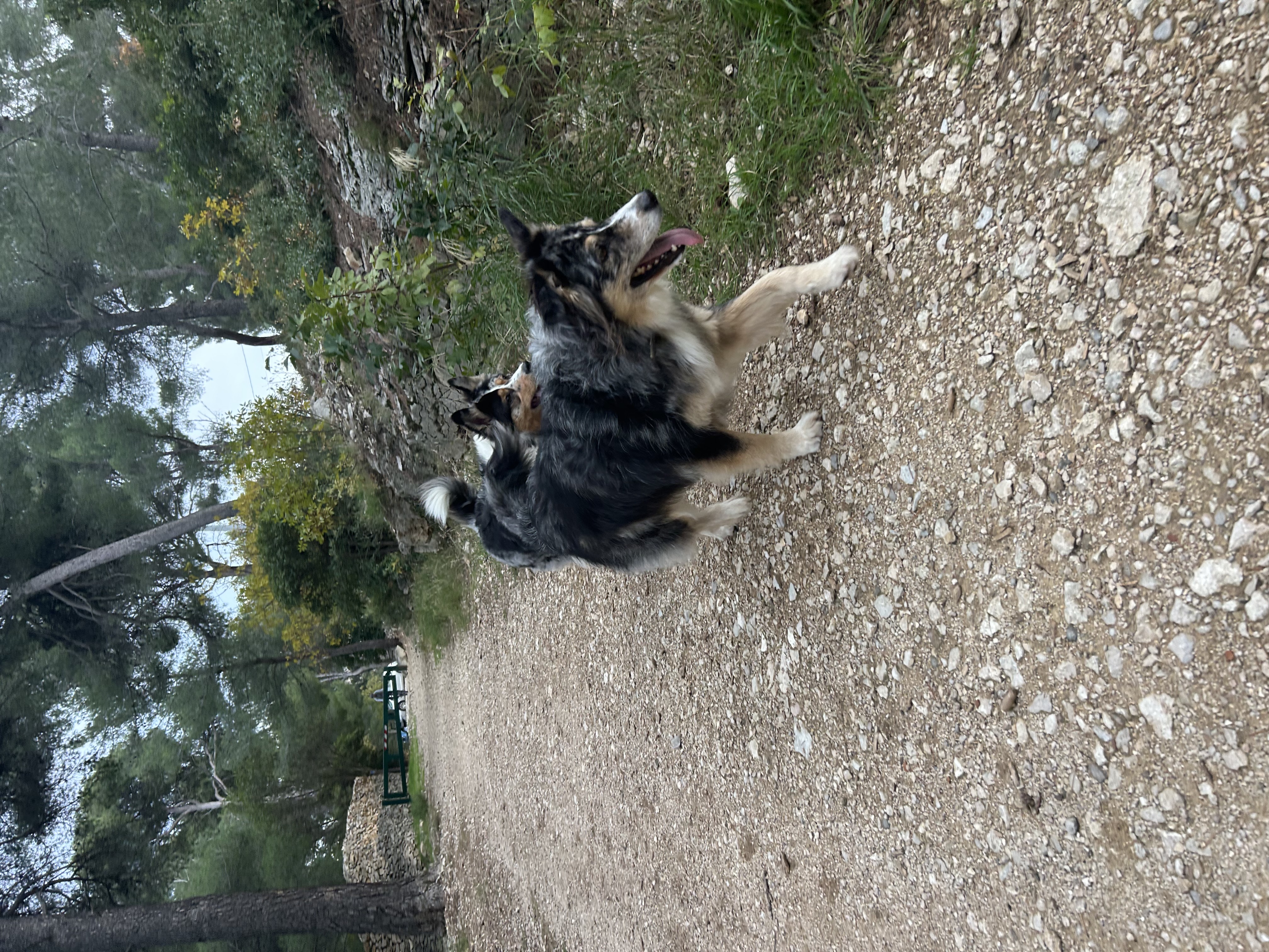 image-8