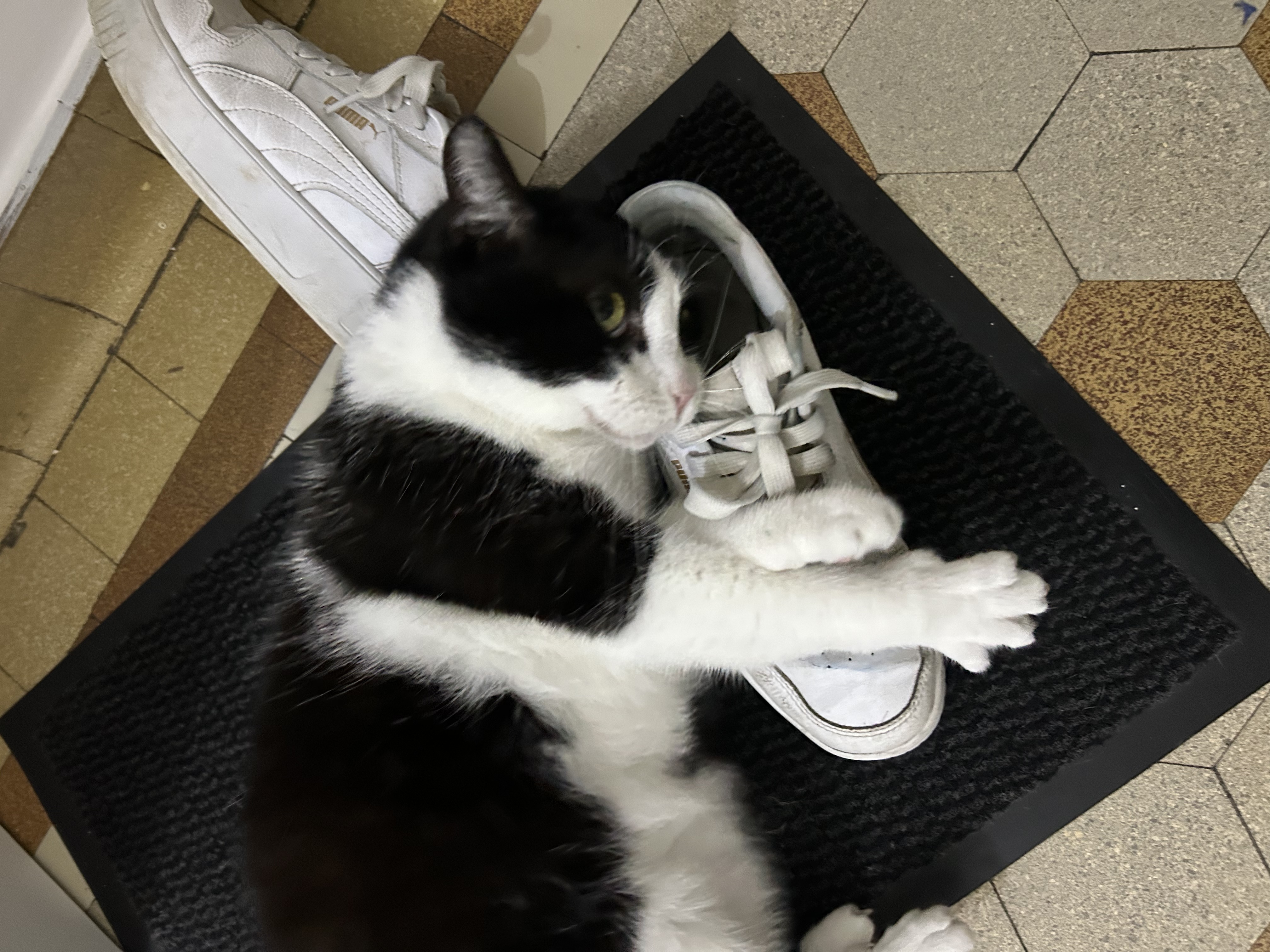 image-11
