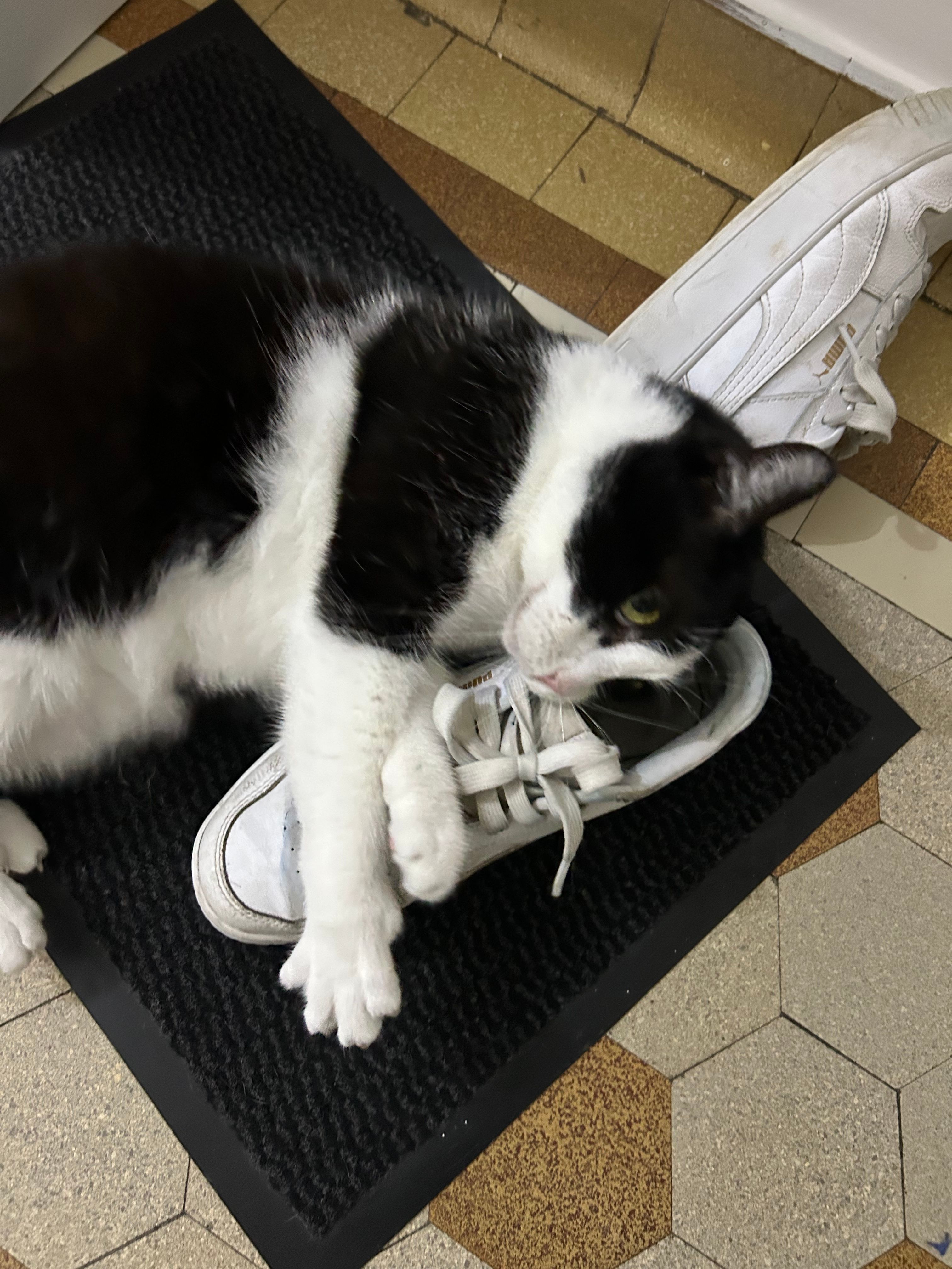 image-11