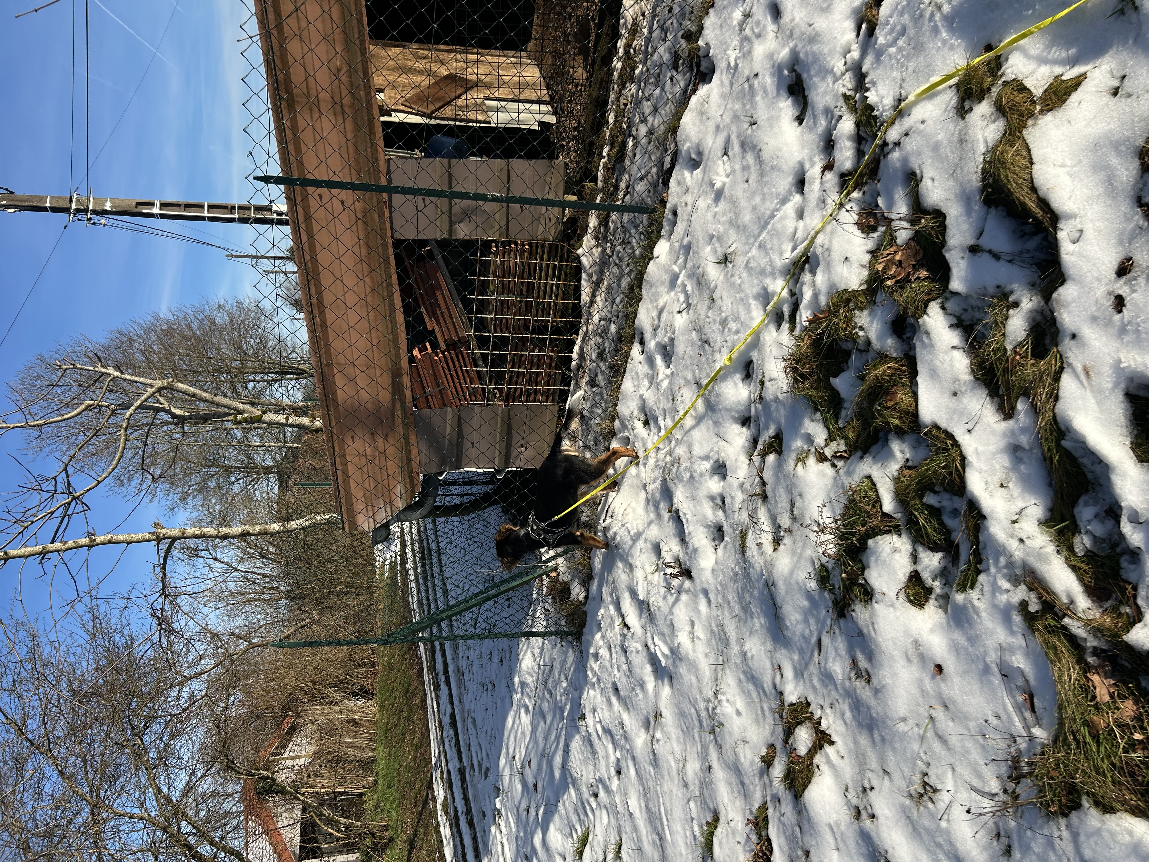 image-13