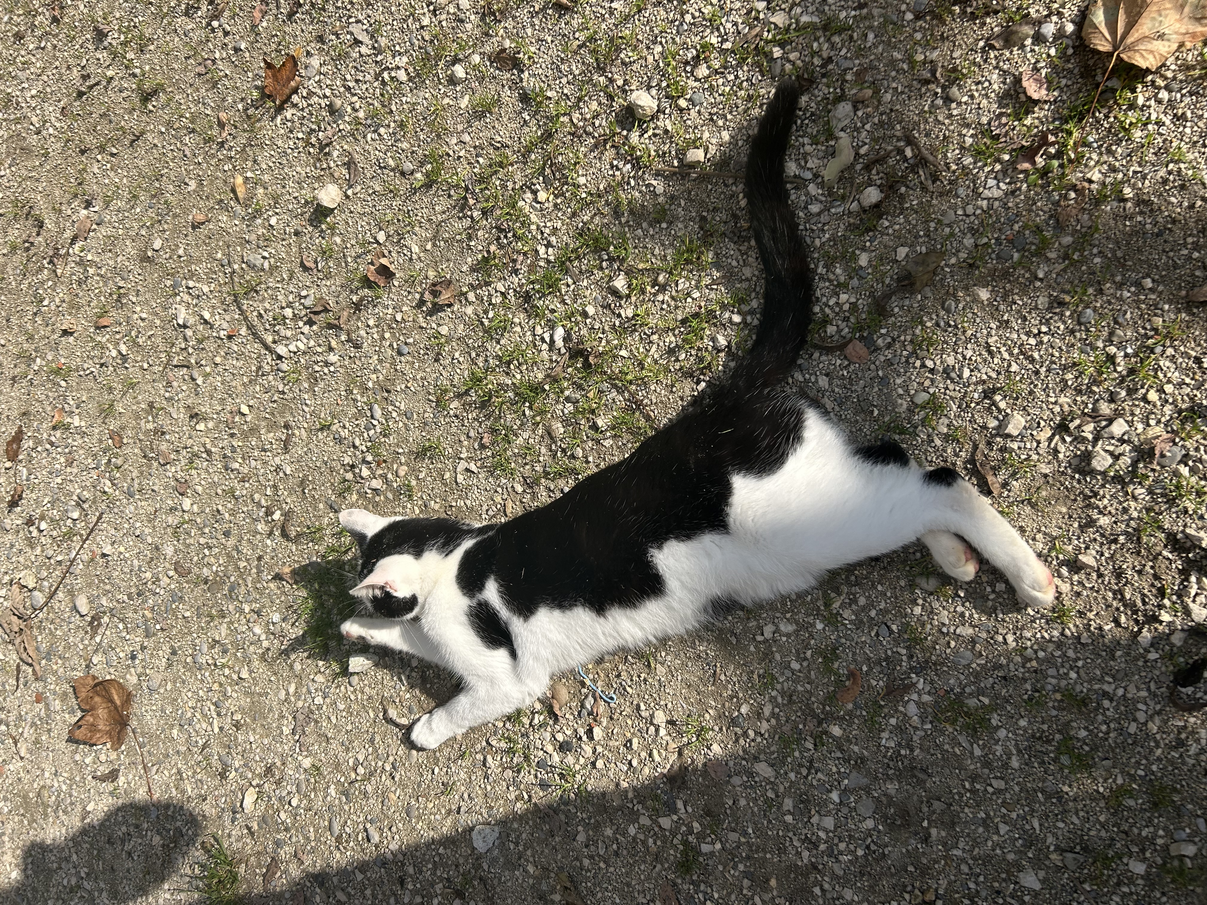 image-5