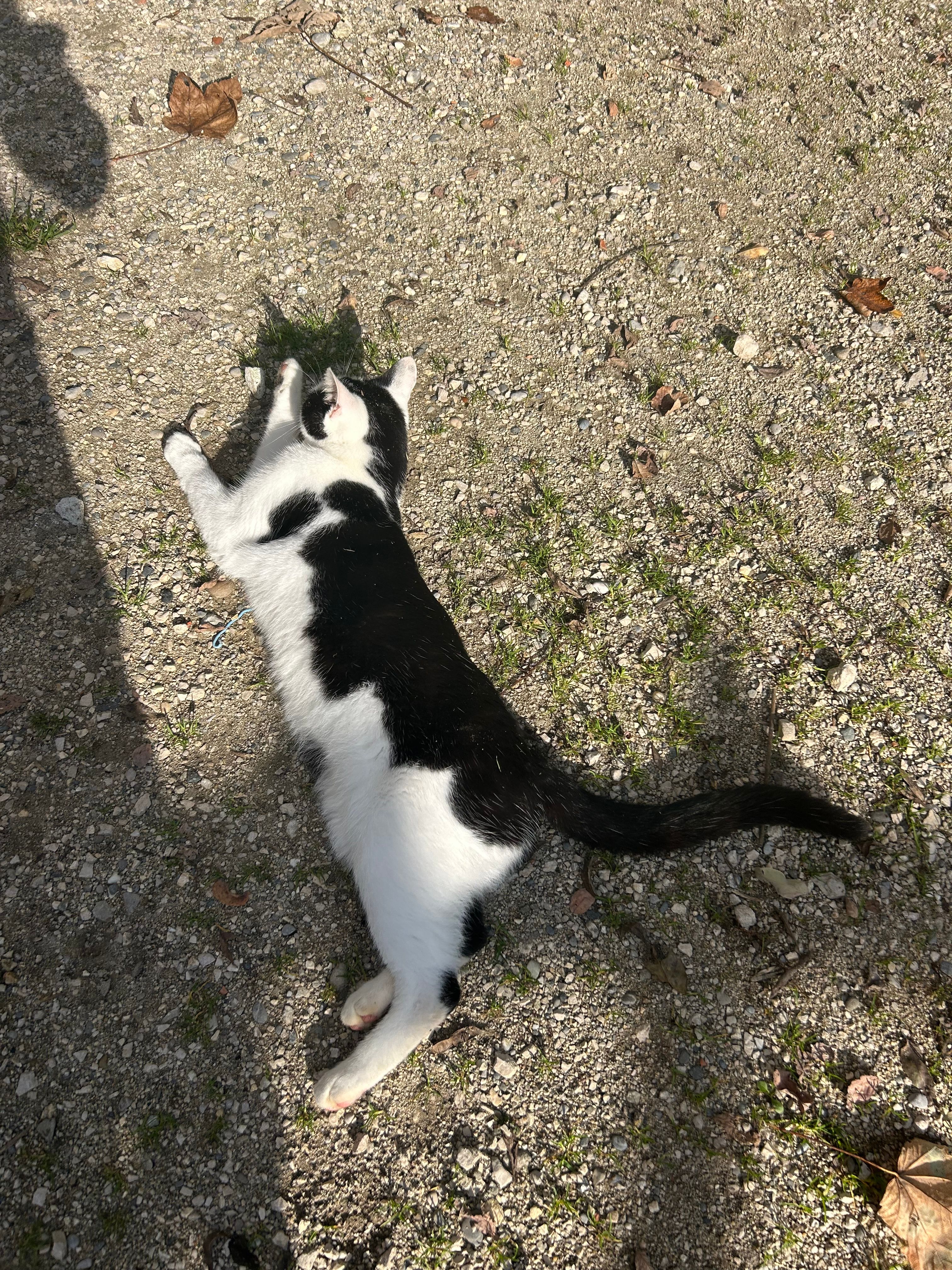 image-5